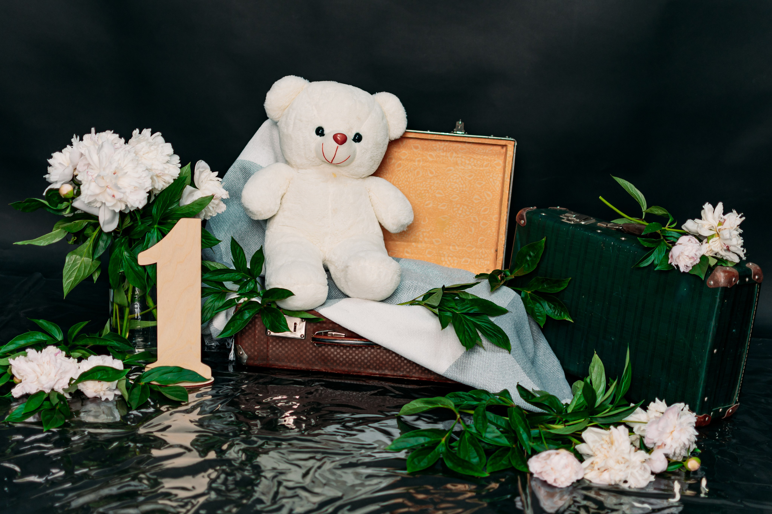 Годовасие. Фотограф Алёна Царькова. Киселевск