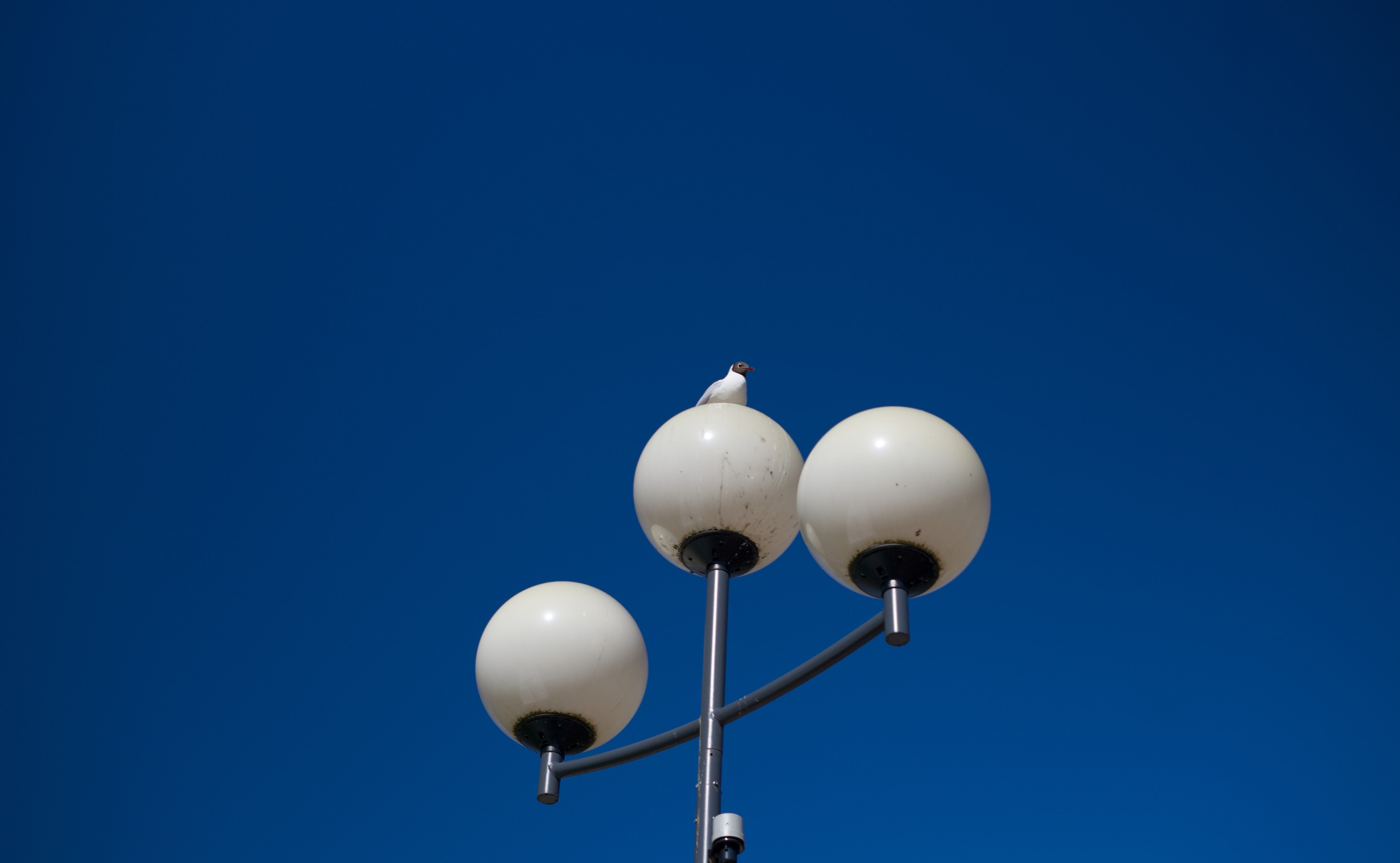 Tales of streets. Visual art from artist Anna Butyrskaia for families and individuals