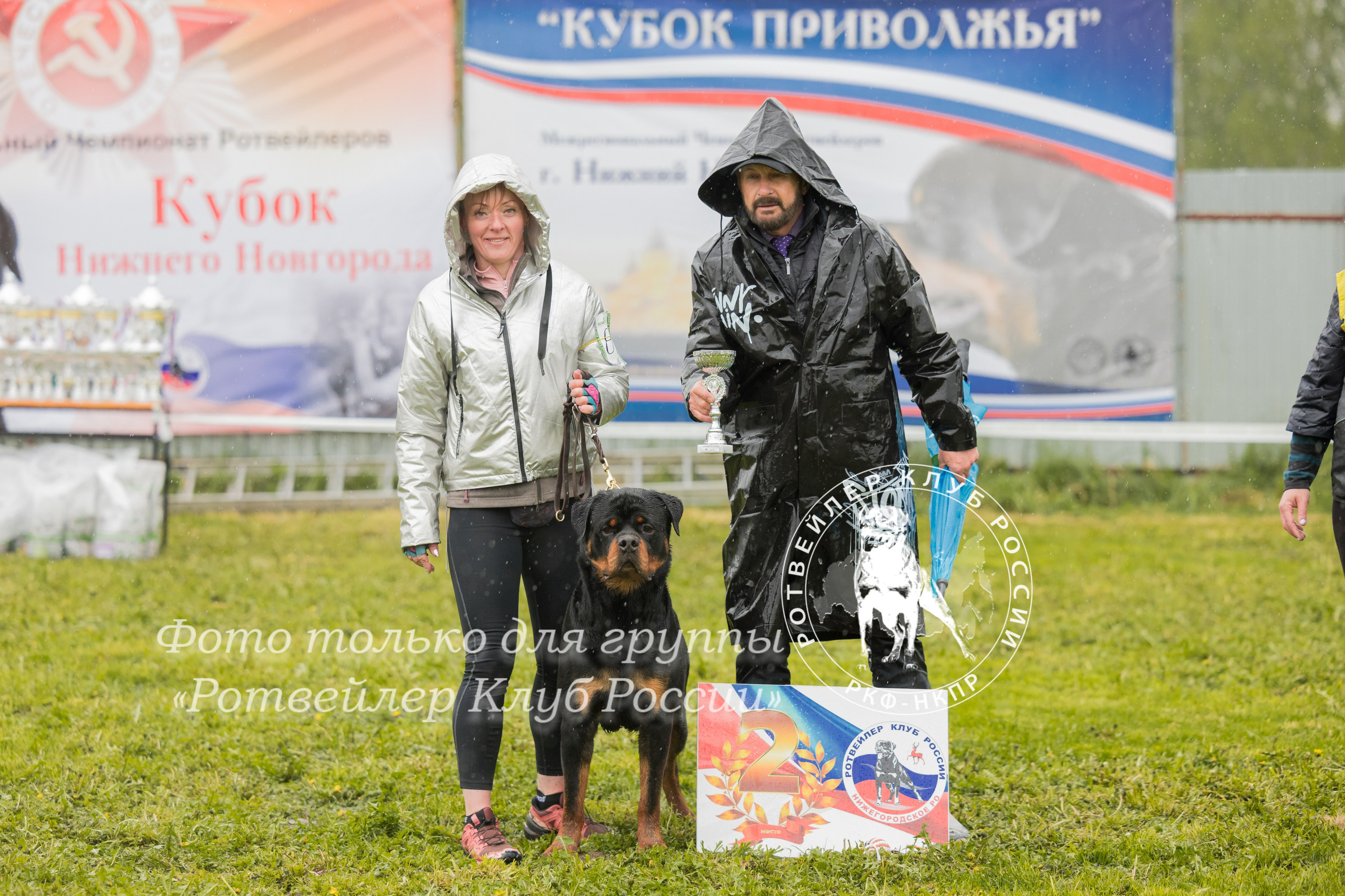 Нижний Новгород 2хмоно ротвейлеров 10-11.05.2025. Фотограф-анималист Юлия Германика