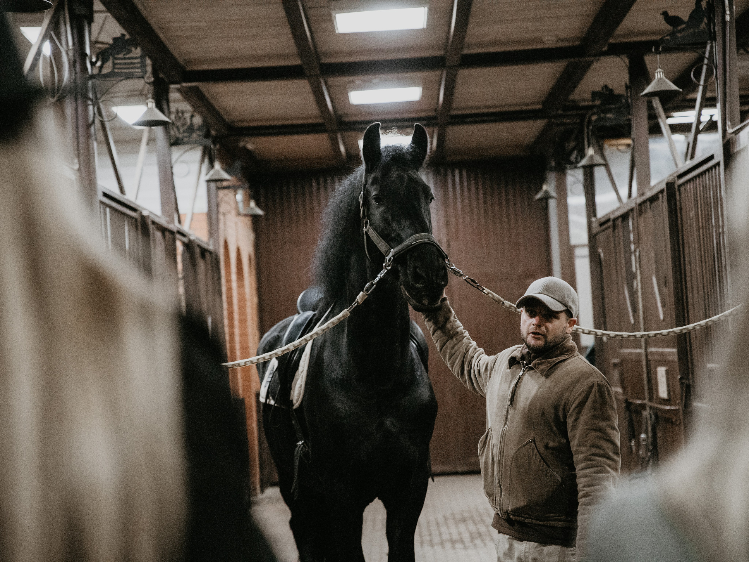 Ферма «Few Horses». Фотограф | портрет | бренды | репортаж