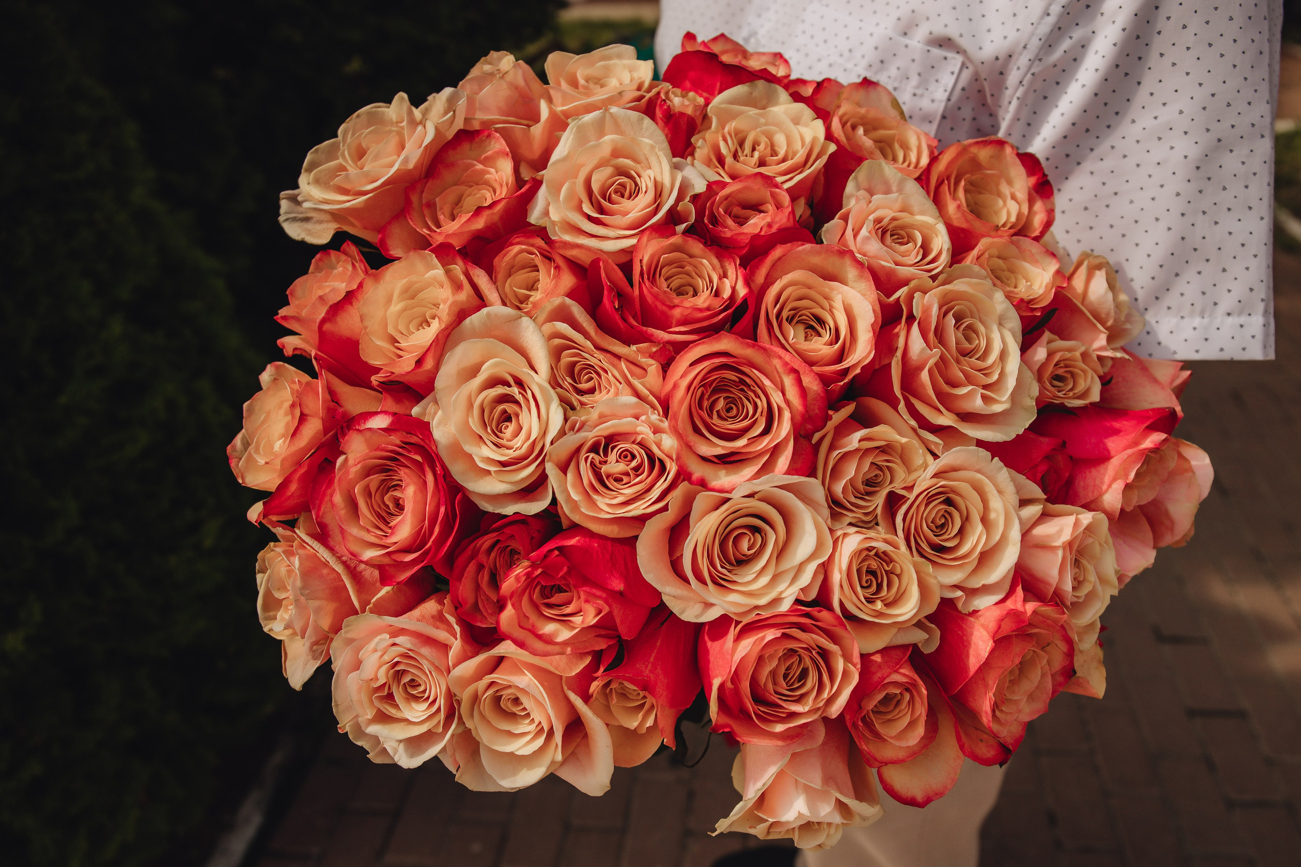 Выписка Даши. Свадебный и семейный фотограф Пушкин Царское Село СПБ Питер Санкт-Петербург и Рязань Ольга Козлова