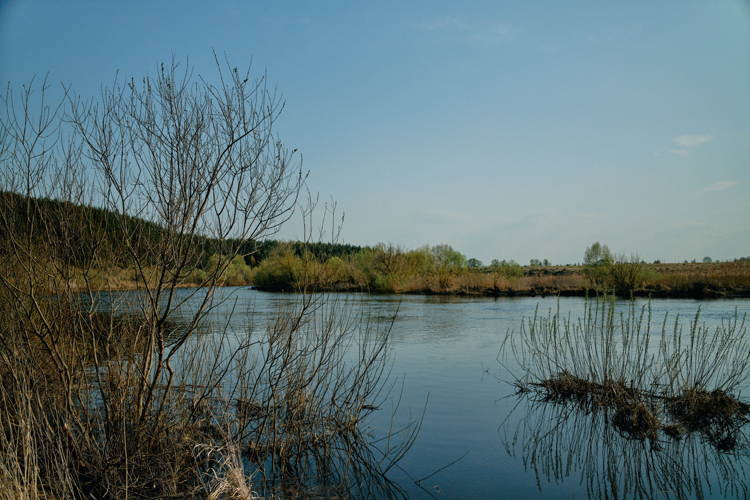 Бутик-отель Поле летом. Профессиональный Фотограф во Владимире, в Москве и в Суздале — Полина Романычева