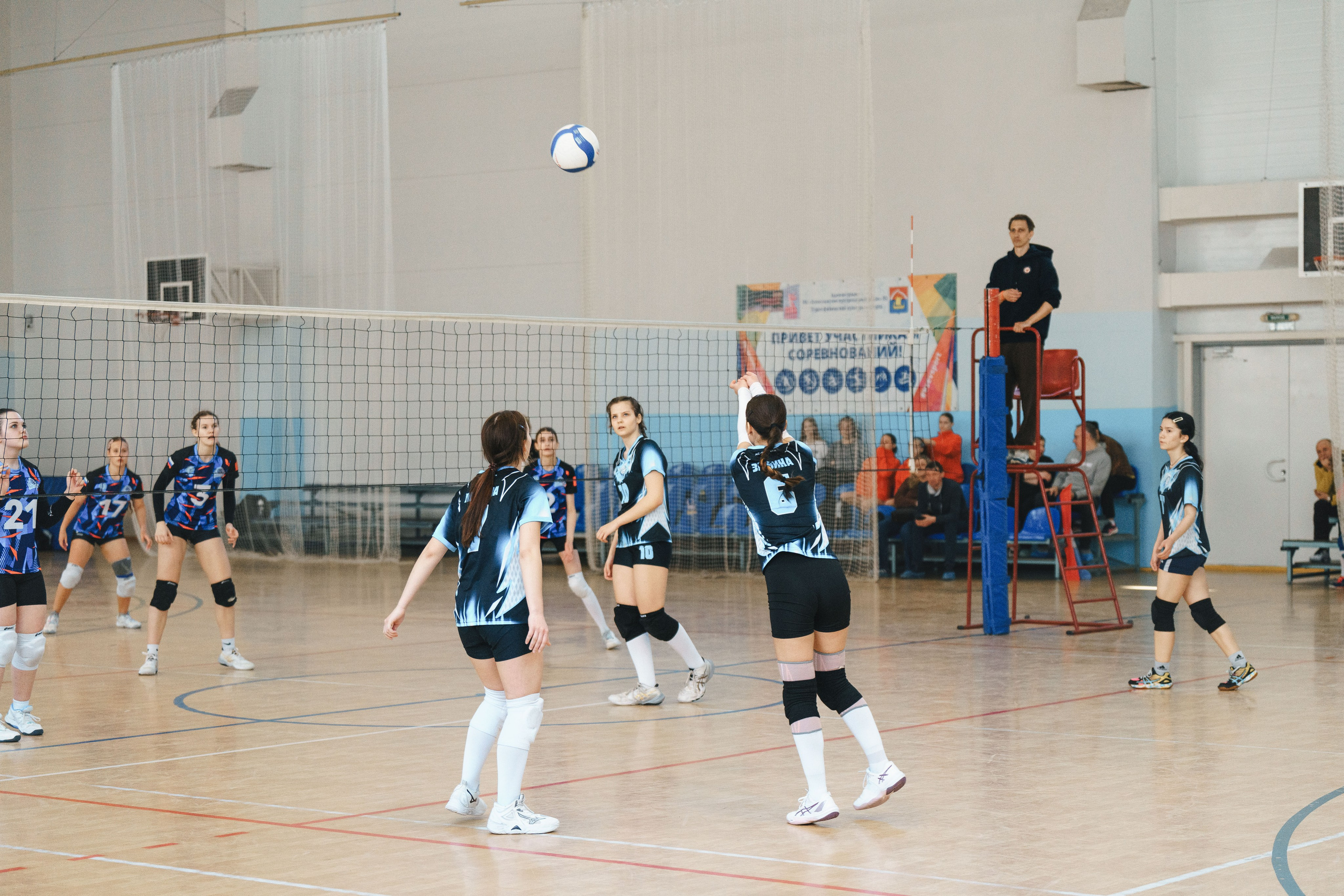 Волейбол торус. Фотограф-анималист в Санкт-Петербурге