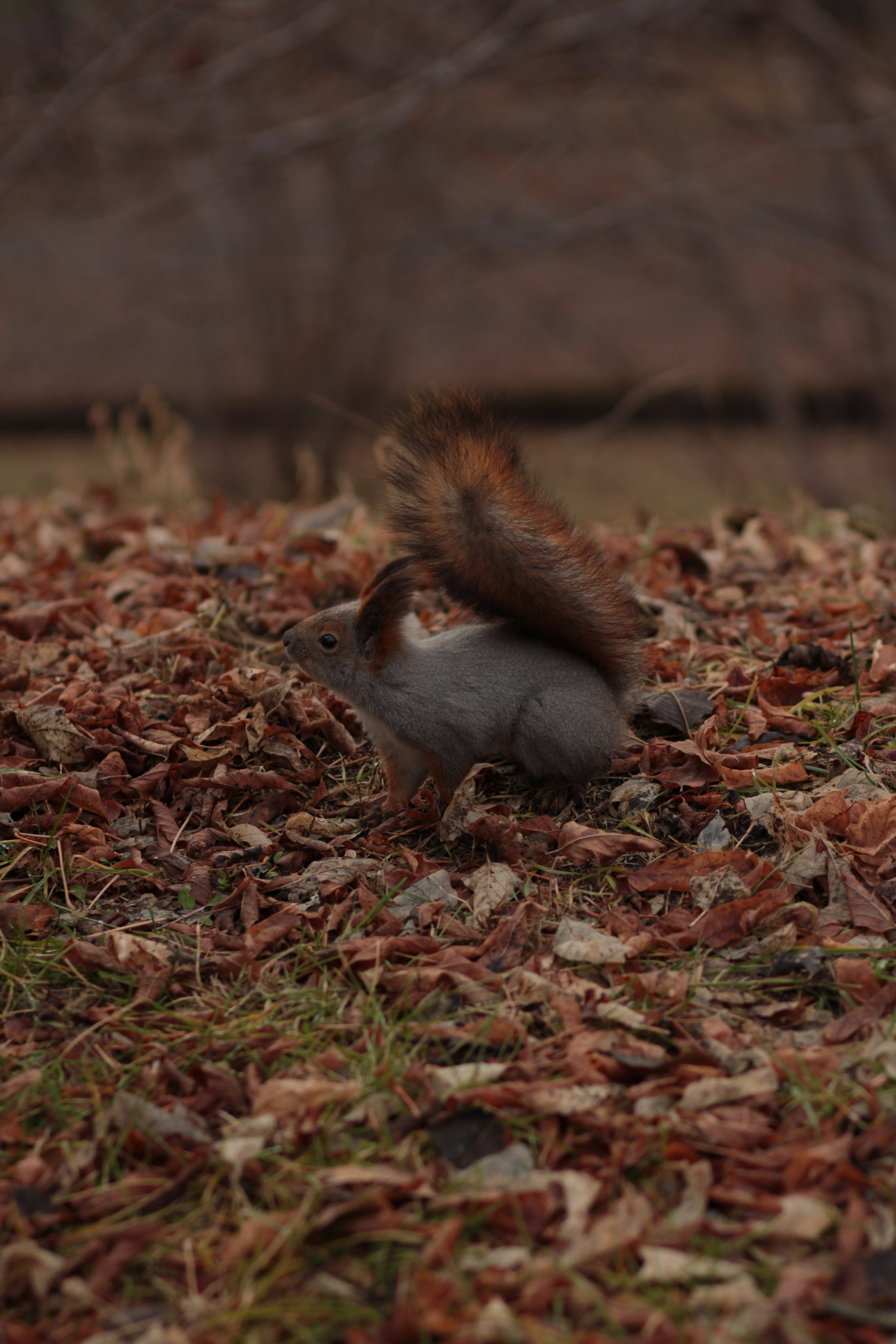 Пейзаж. Творческий фотограф в Санкт-Петербурге | Саша Трапезникова