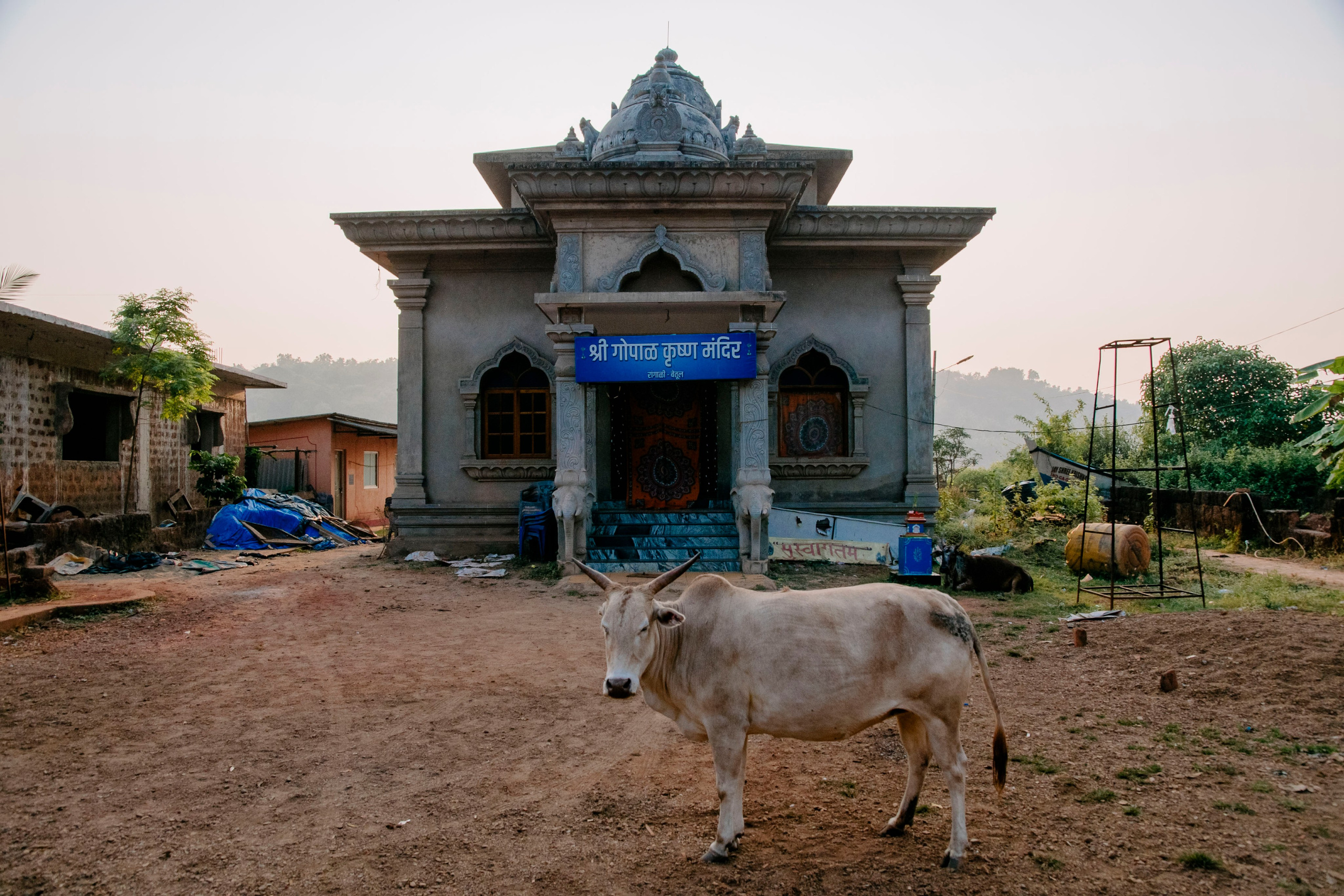 Гоа. индия. Iraogo