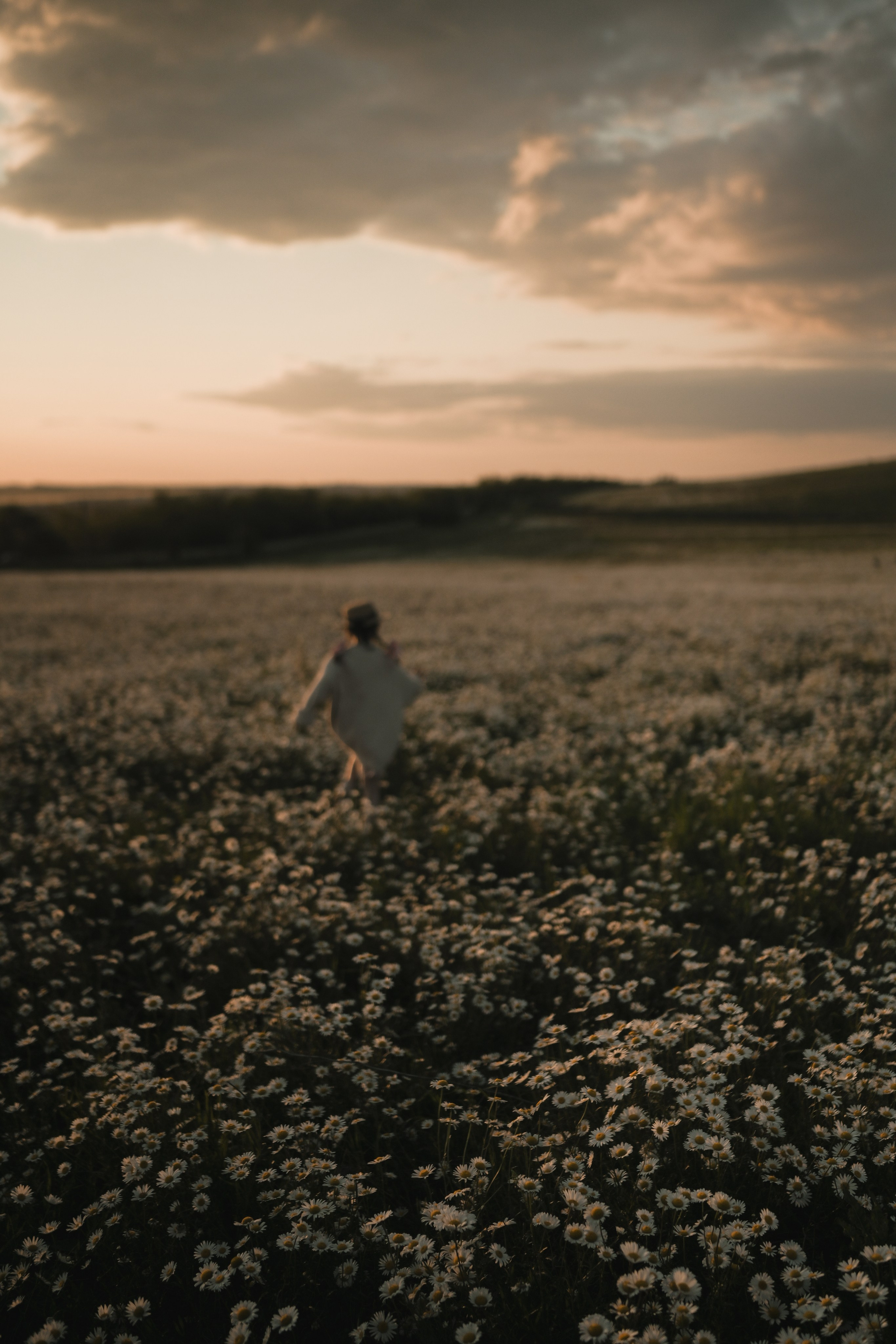 Семейная фотосессия в ромашковом поле в Крыму. Свадебный и семейный фотограф и видеограф, Крым, Москва, Санкт -Петербург