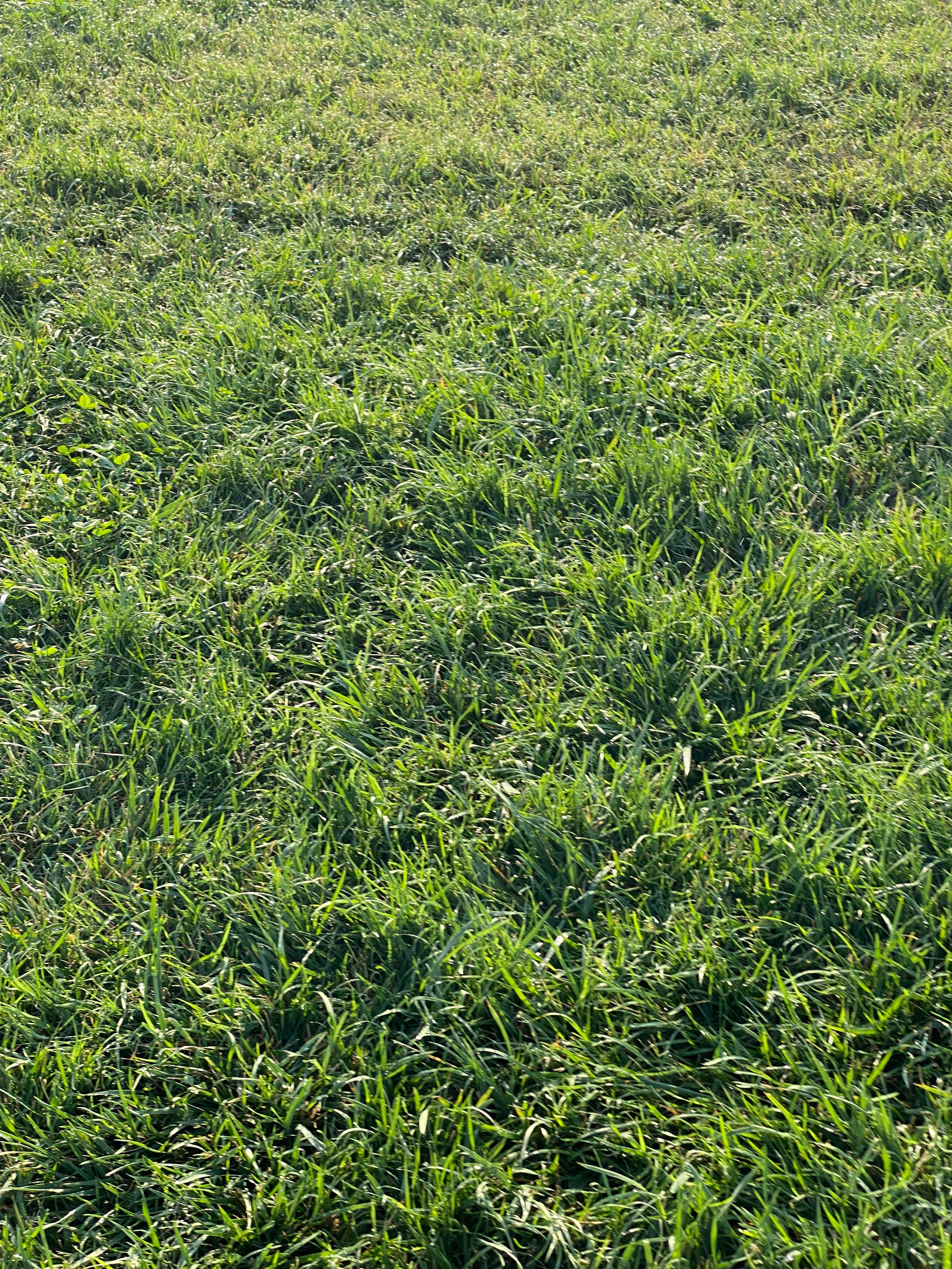 Равда, Несебр — 21. Своя Мастерская