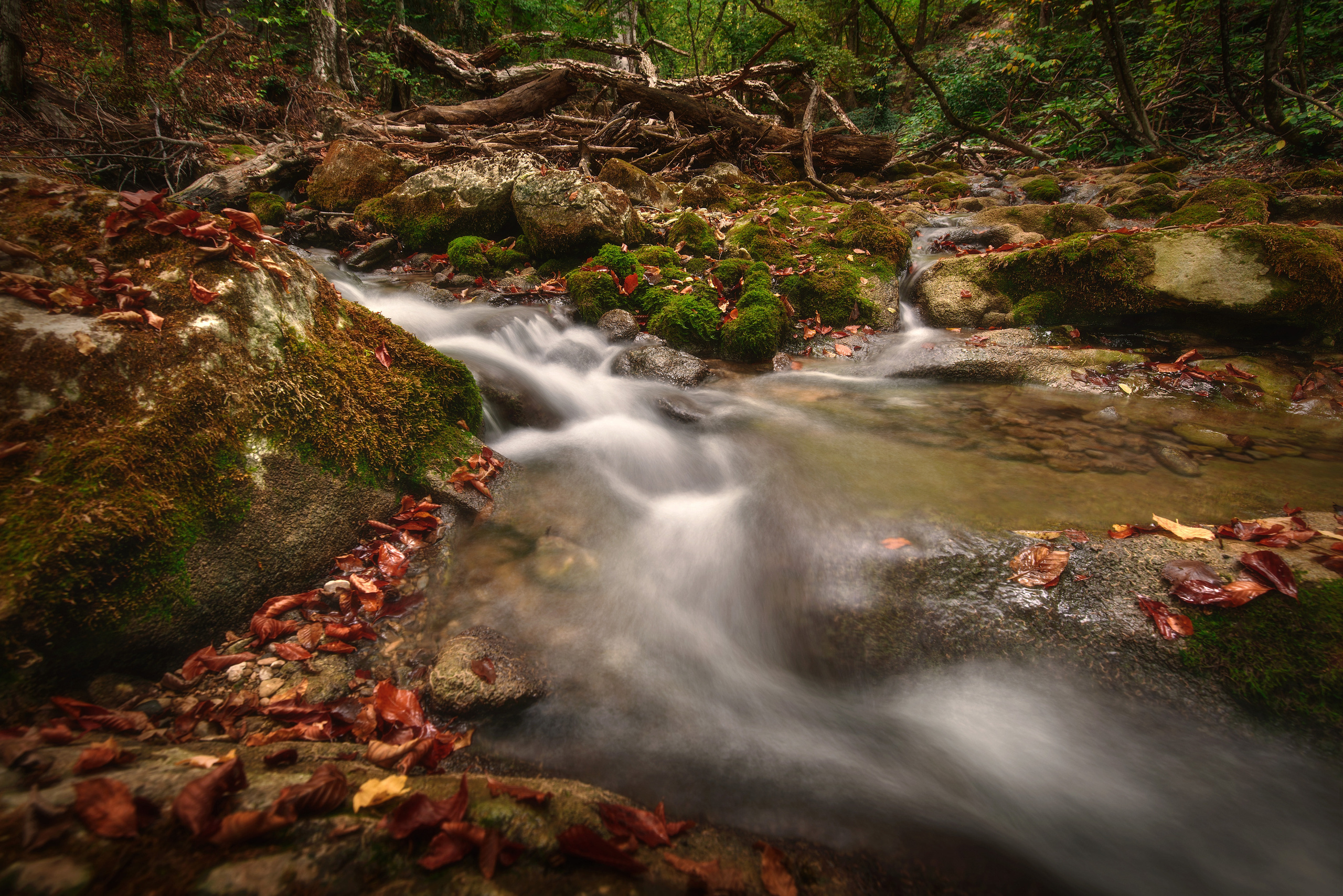 Пейзаж. Фотограф Антон Денисенко: Портрет, Документалистика, Пейзаж. Москва