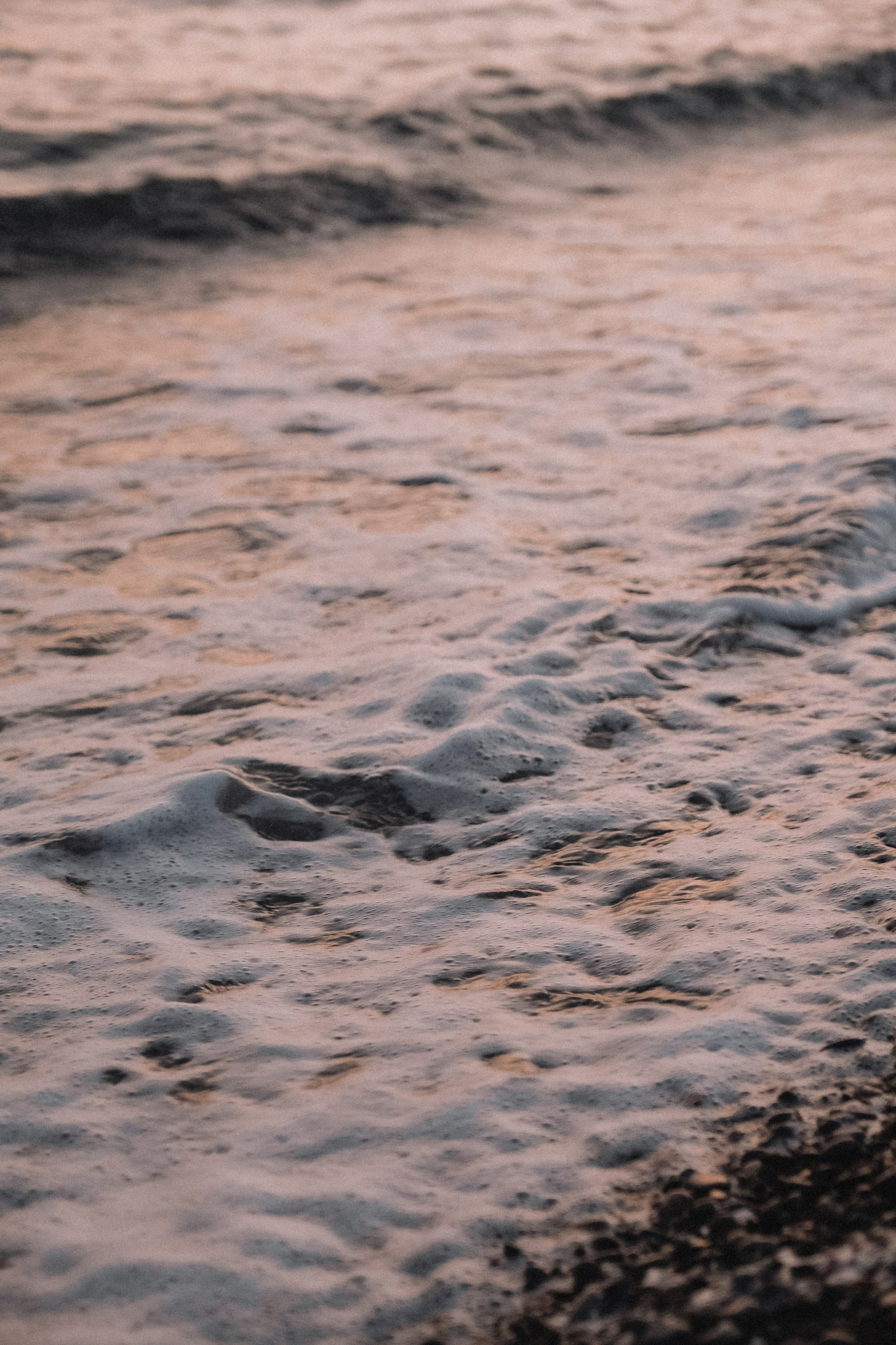 Аня, Николь и Мишель. Семейный фотограф Москва
