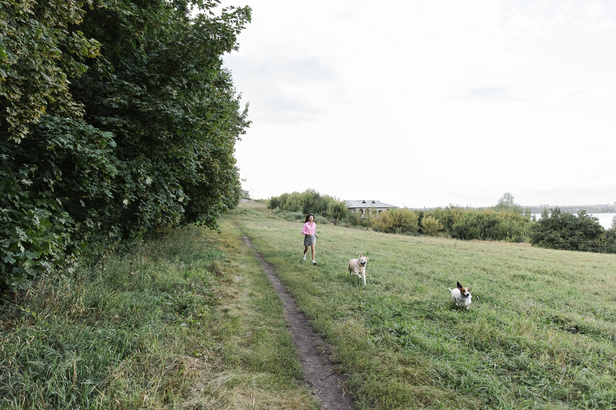 Счастье на четырёх лапах. Маргарита Рубцова свадебный фотограф Тольятти
