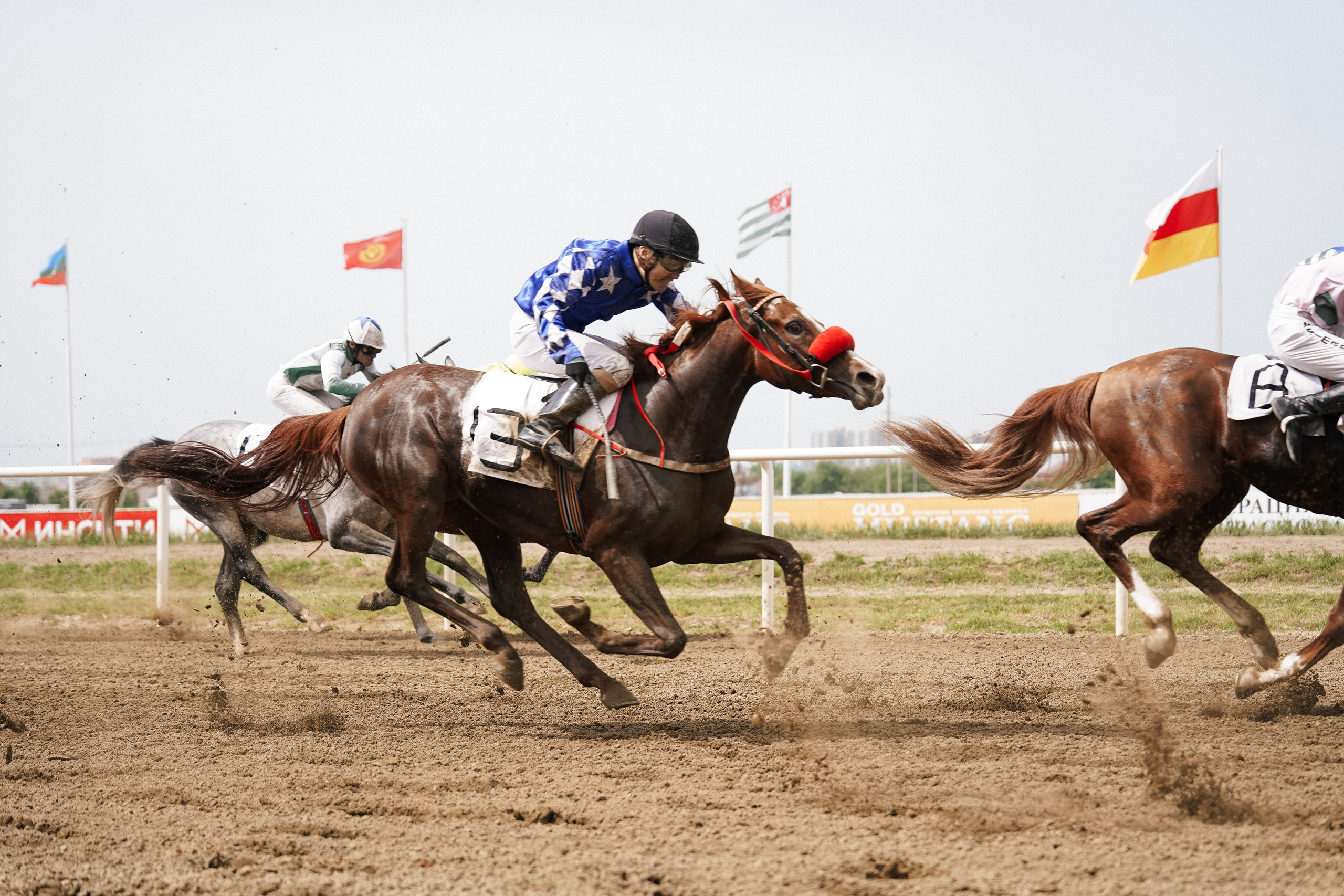 Скачки. Фотограф с психологическим образованием
