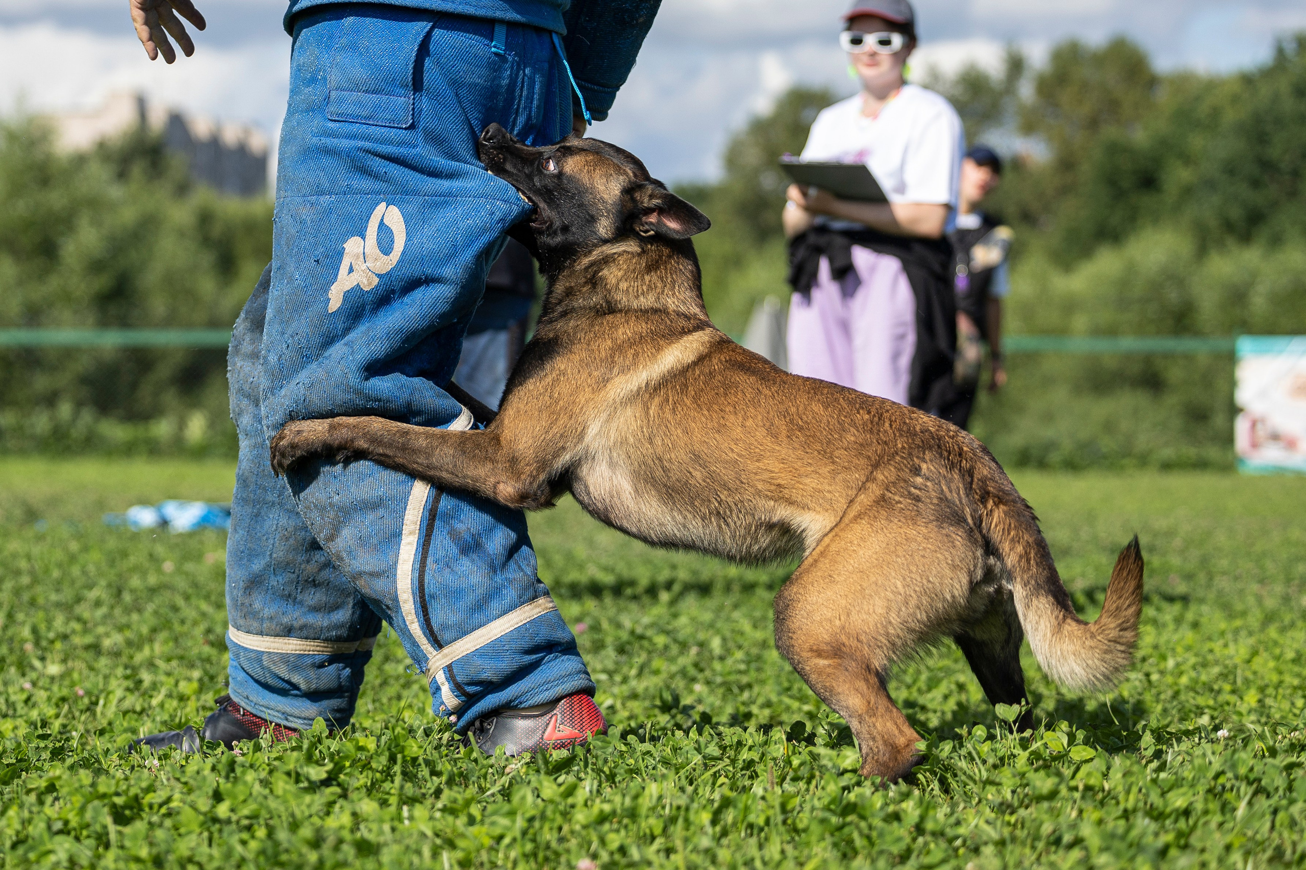 Соревнования по Мондьорингу г. Вологда 10-11.08.2024. Фотограф-анималист Анна Маринич
