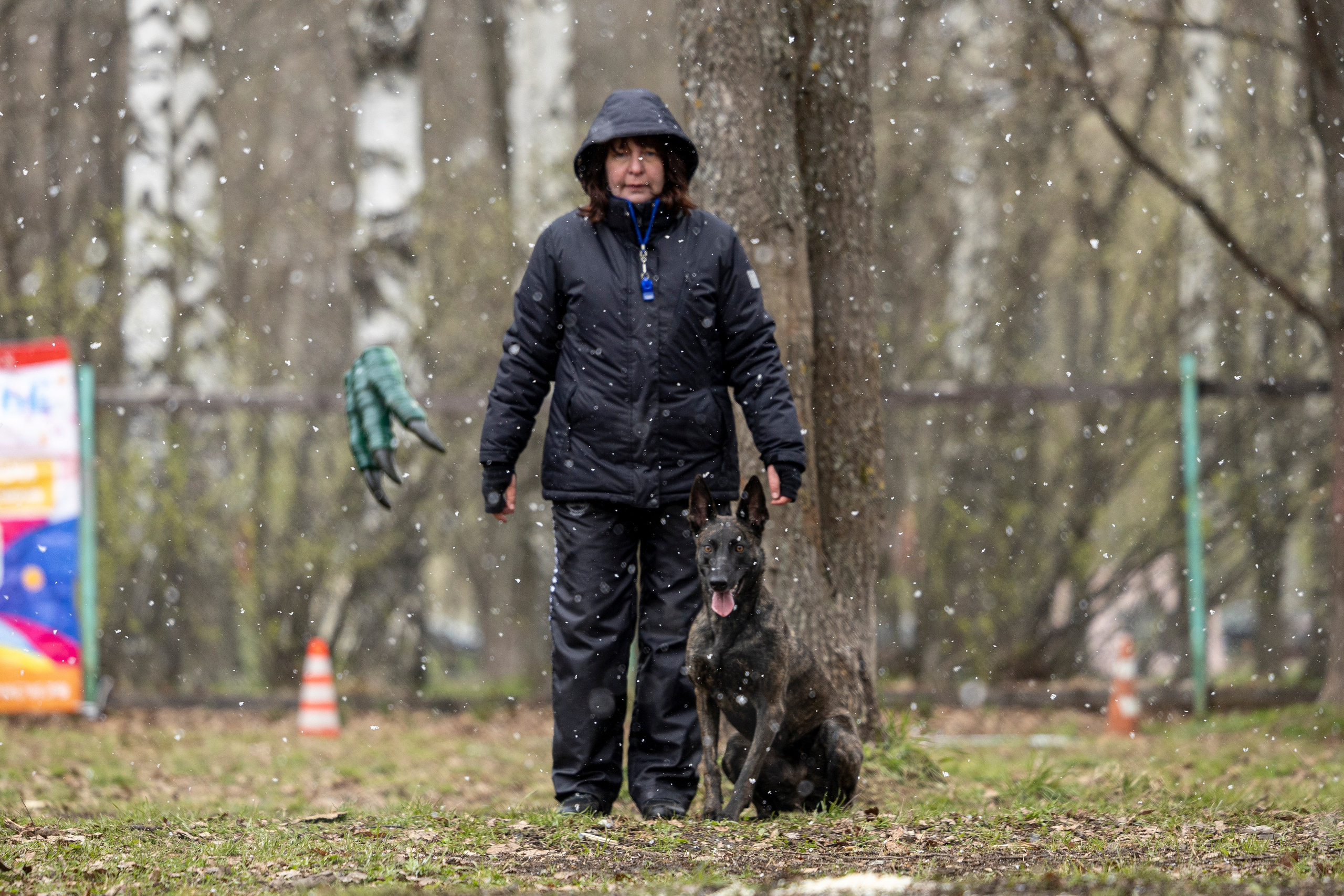 Квалификационные состязания по мондьорингу г. Вологда 11.05.24. Фотограф-анималист Анна Маринич