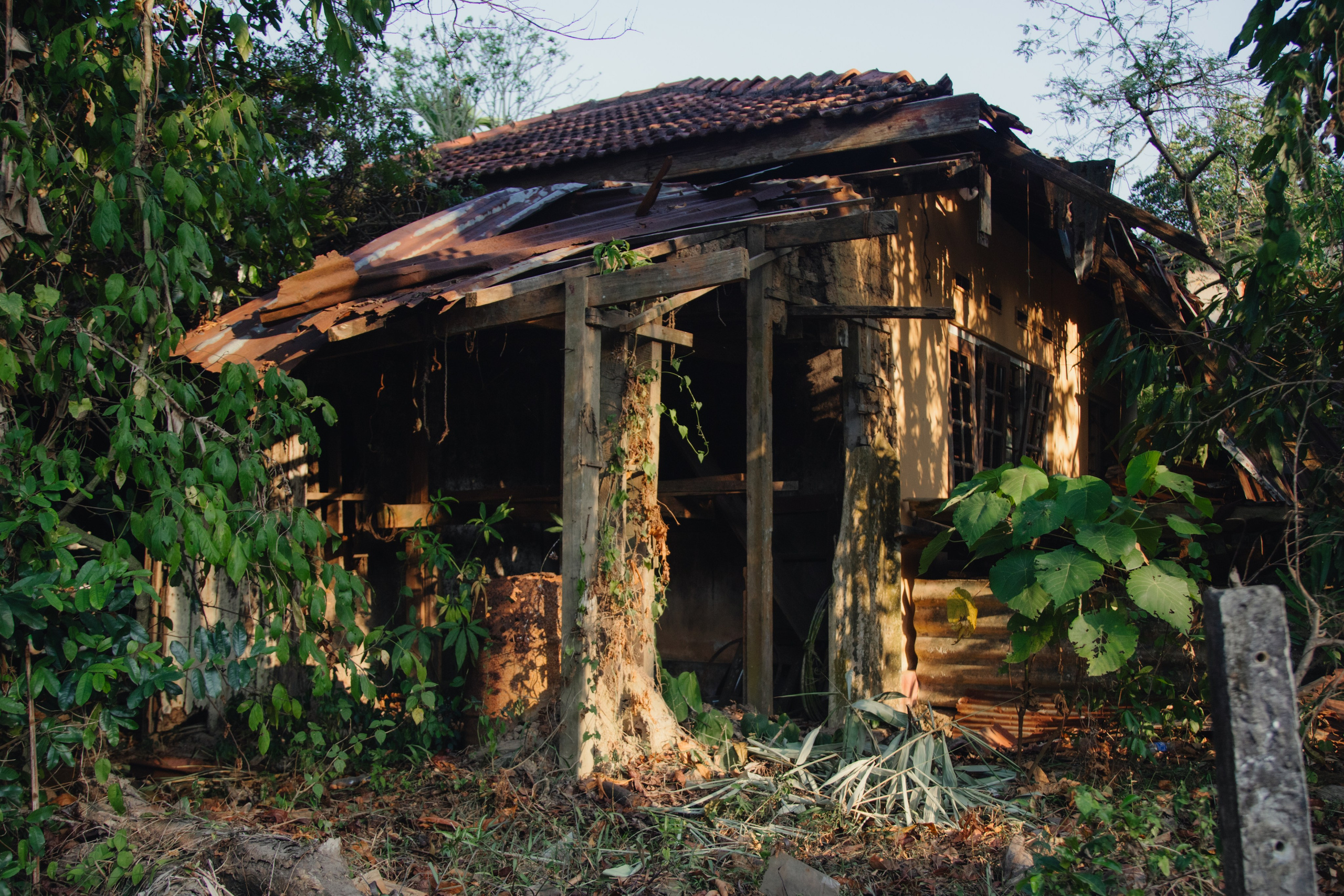 Шри-Ланка. Фотограф Юля Постнова