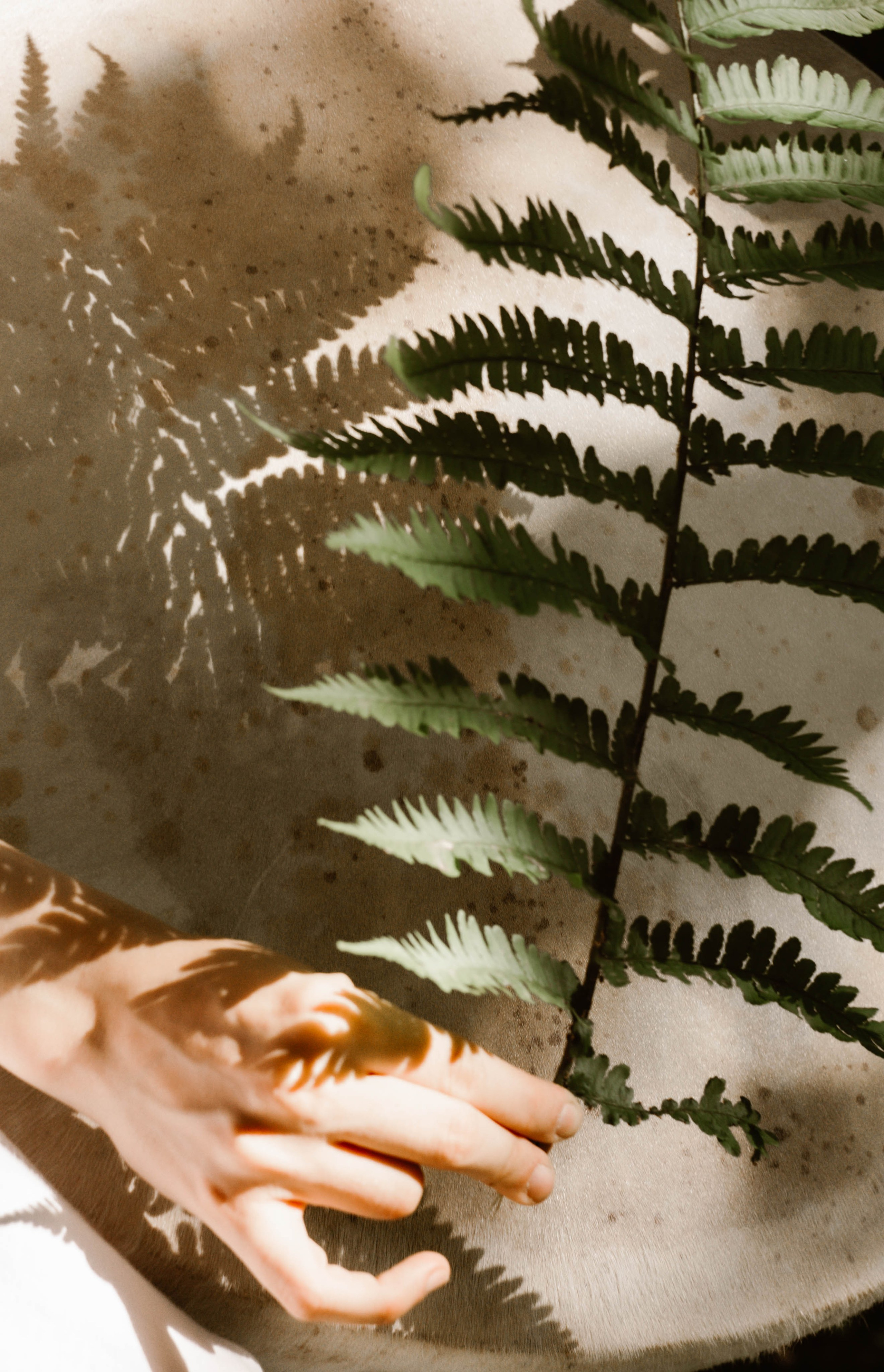 Эльвира. Фотограф в Нижнем Новгороде