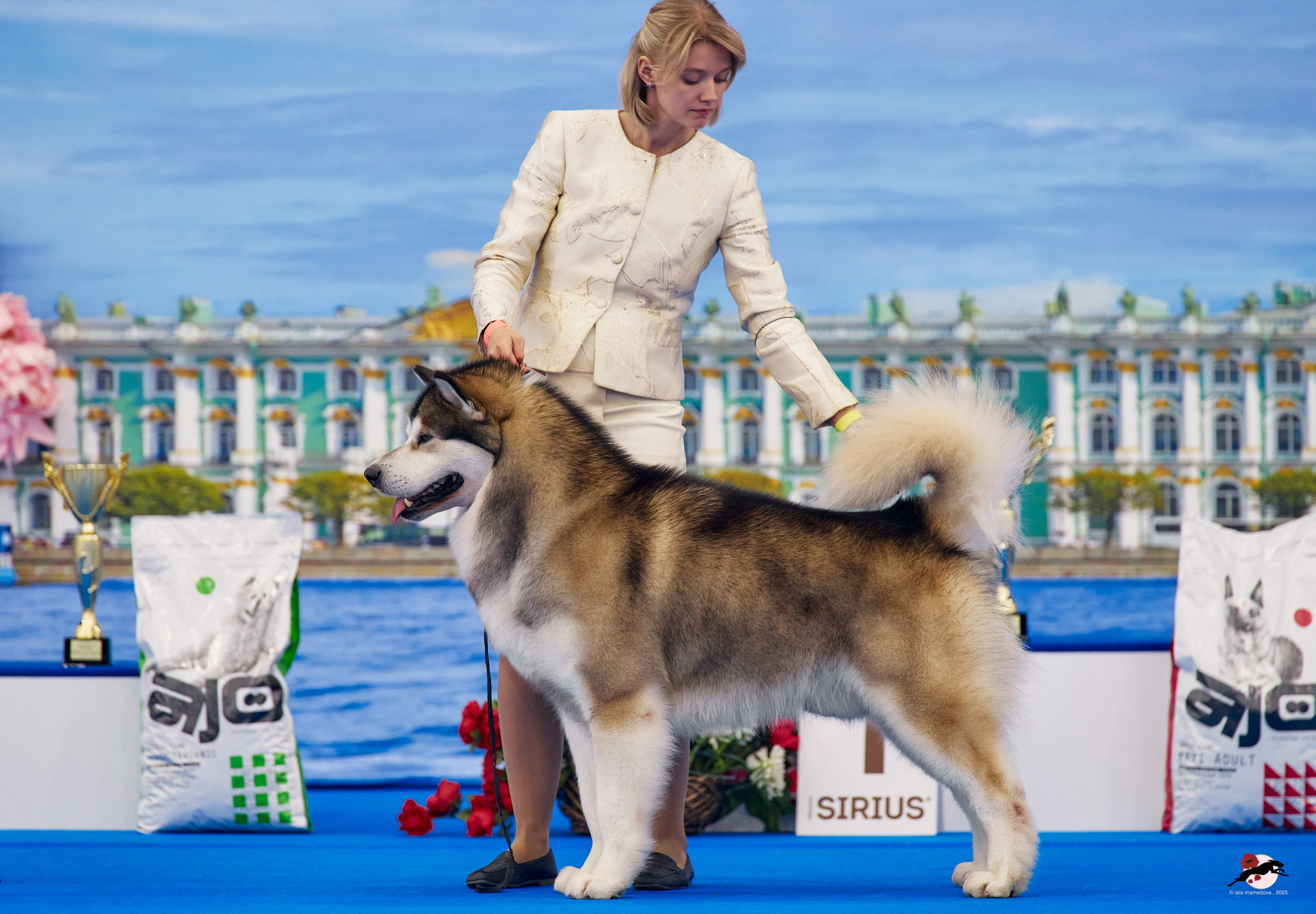 27.04.2025 | "Петербург-Элита 2025" & «КУБОК «ЭЛИТЫ»-2025»