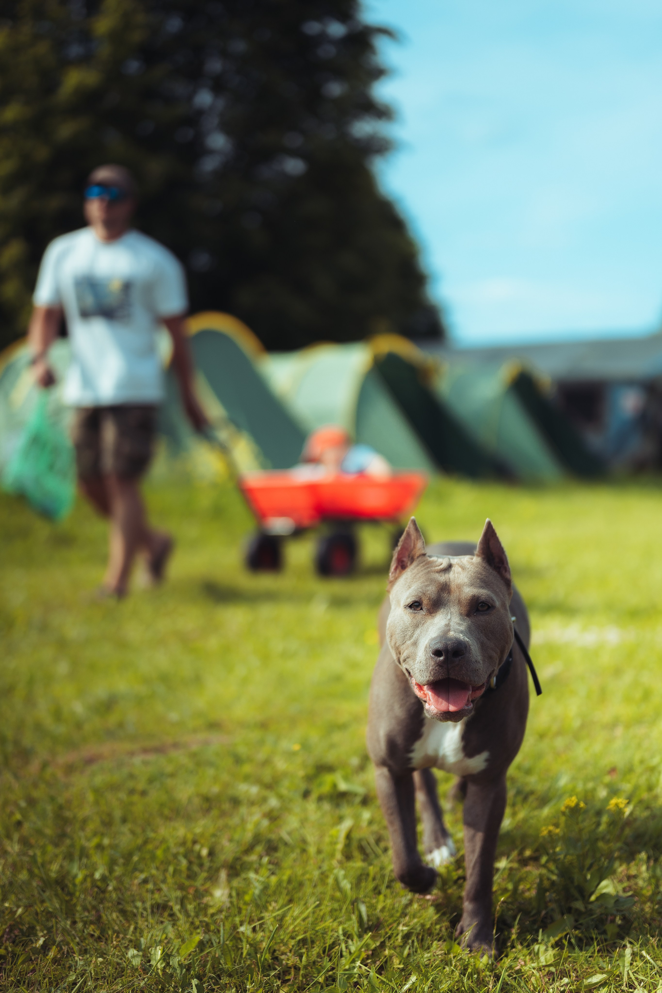 Детский лагерь — 1 смена 2025 год. Иван Кубик — фотограф и видеограф