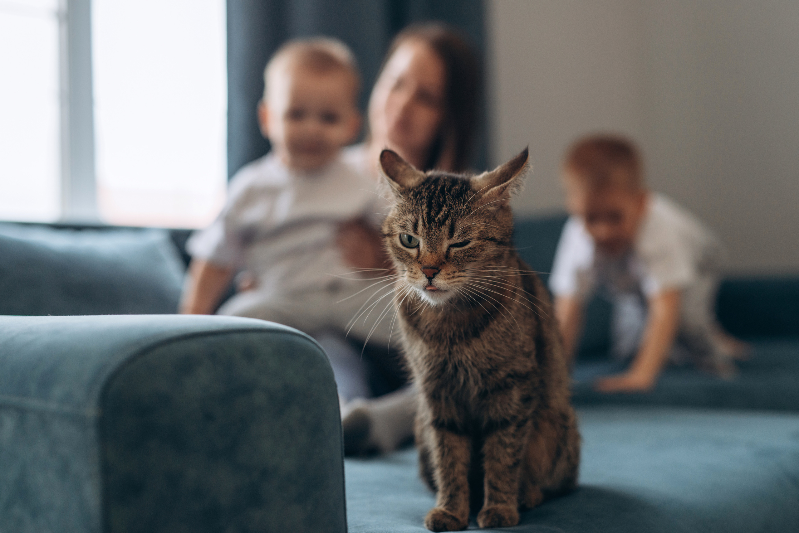 Семья Шабалиных. Фотограф новорождённых и семейный фотограф в Иваново Любовь Капранова