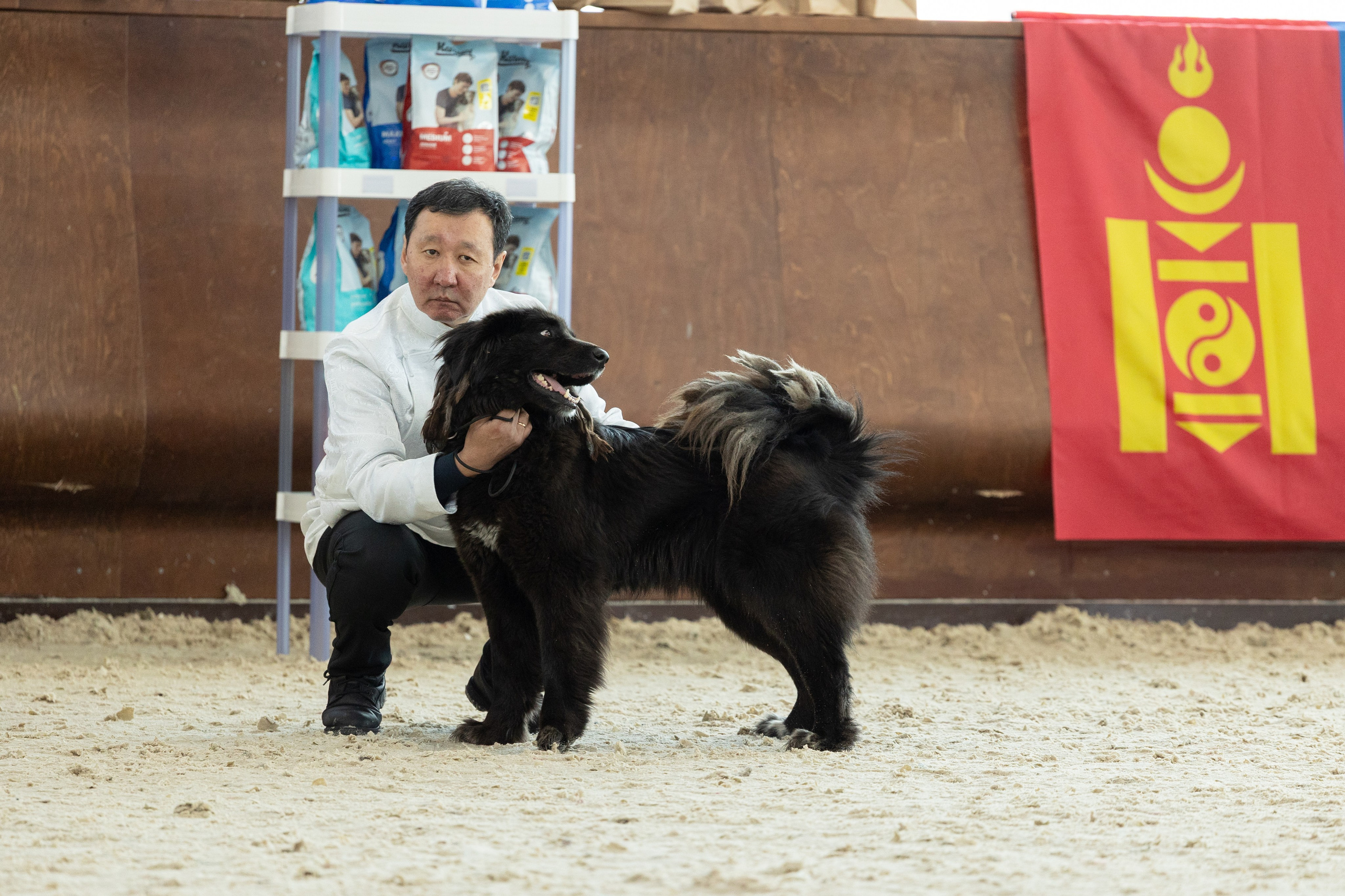 Моно Монгол Банхаров. Иркутск 2025. Фотограф-анималист|Иркутск