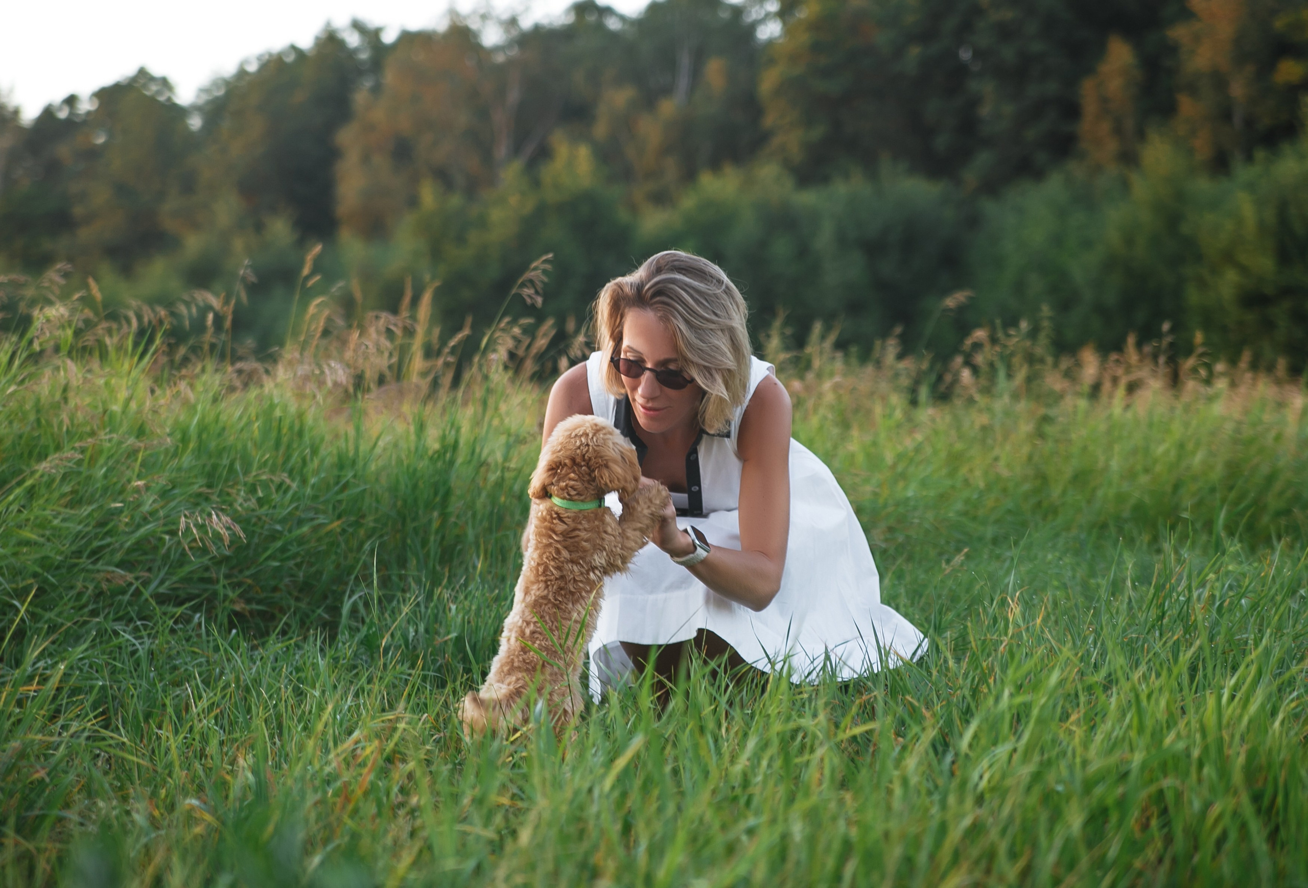 Девушка, закат, собака. Семейный фотограф, свадебный фотограф, женский портрет в Санкт-Петербу