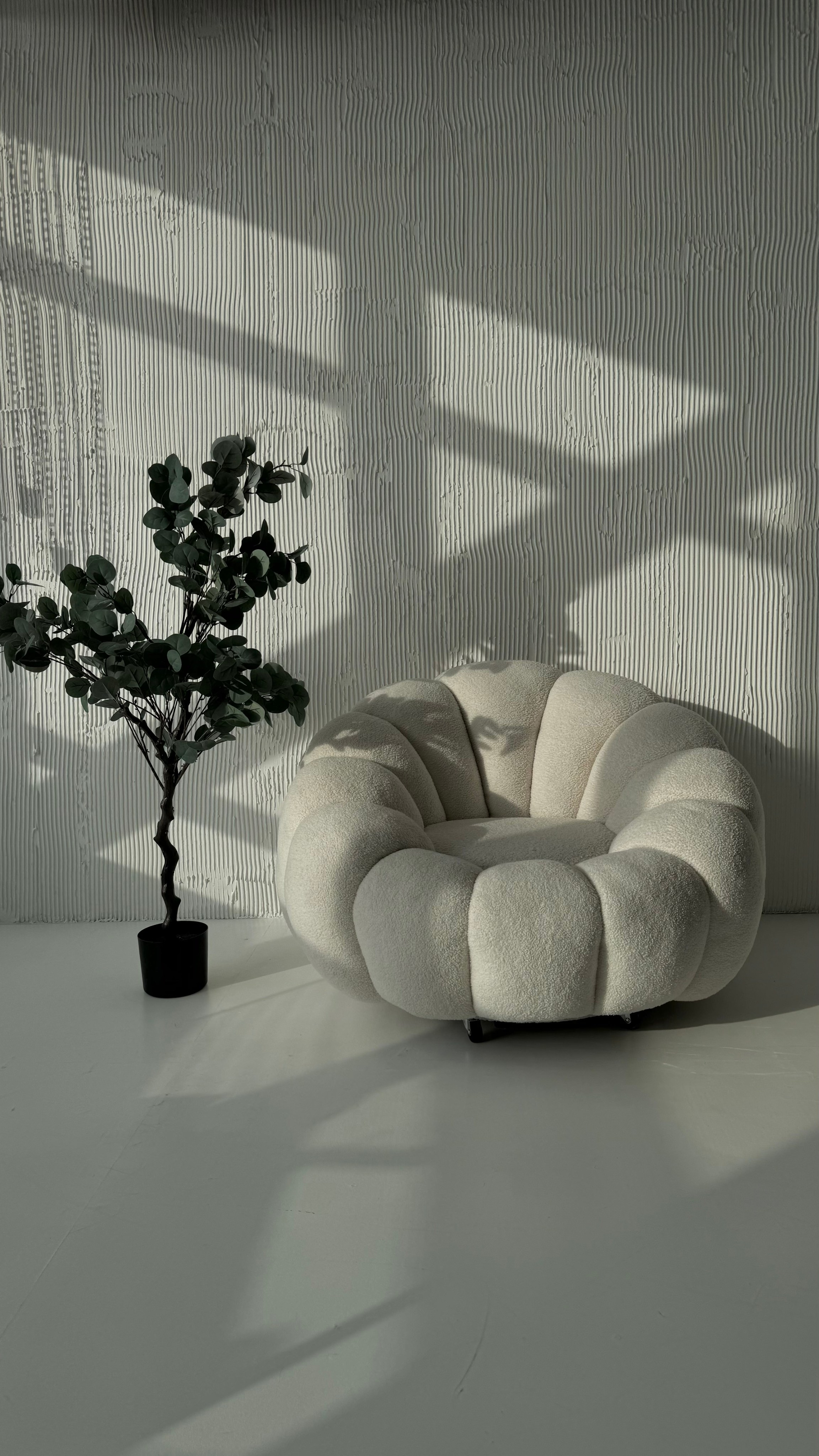 Грэй (студия 23). Фотограф г. Хабаровск. Семейные и индивидуальные съёмки