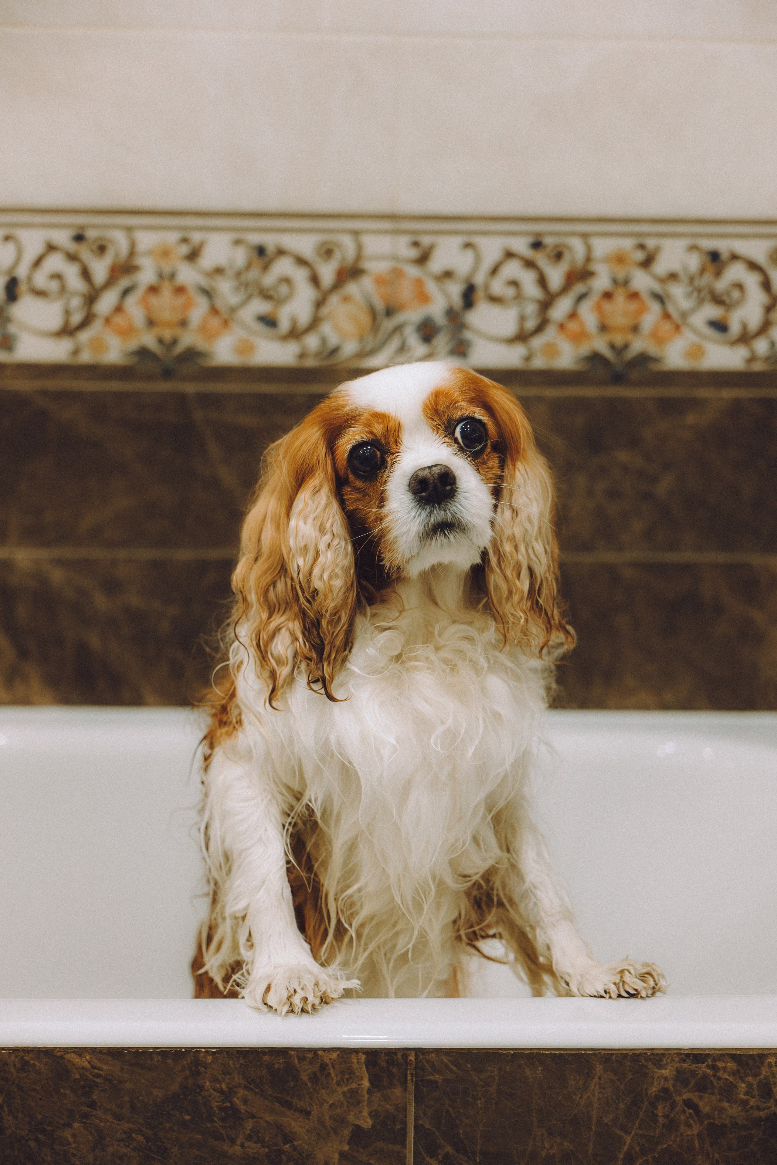 Наташа и Вики