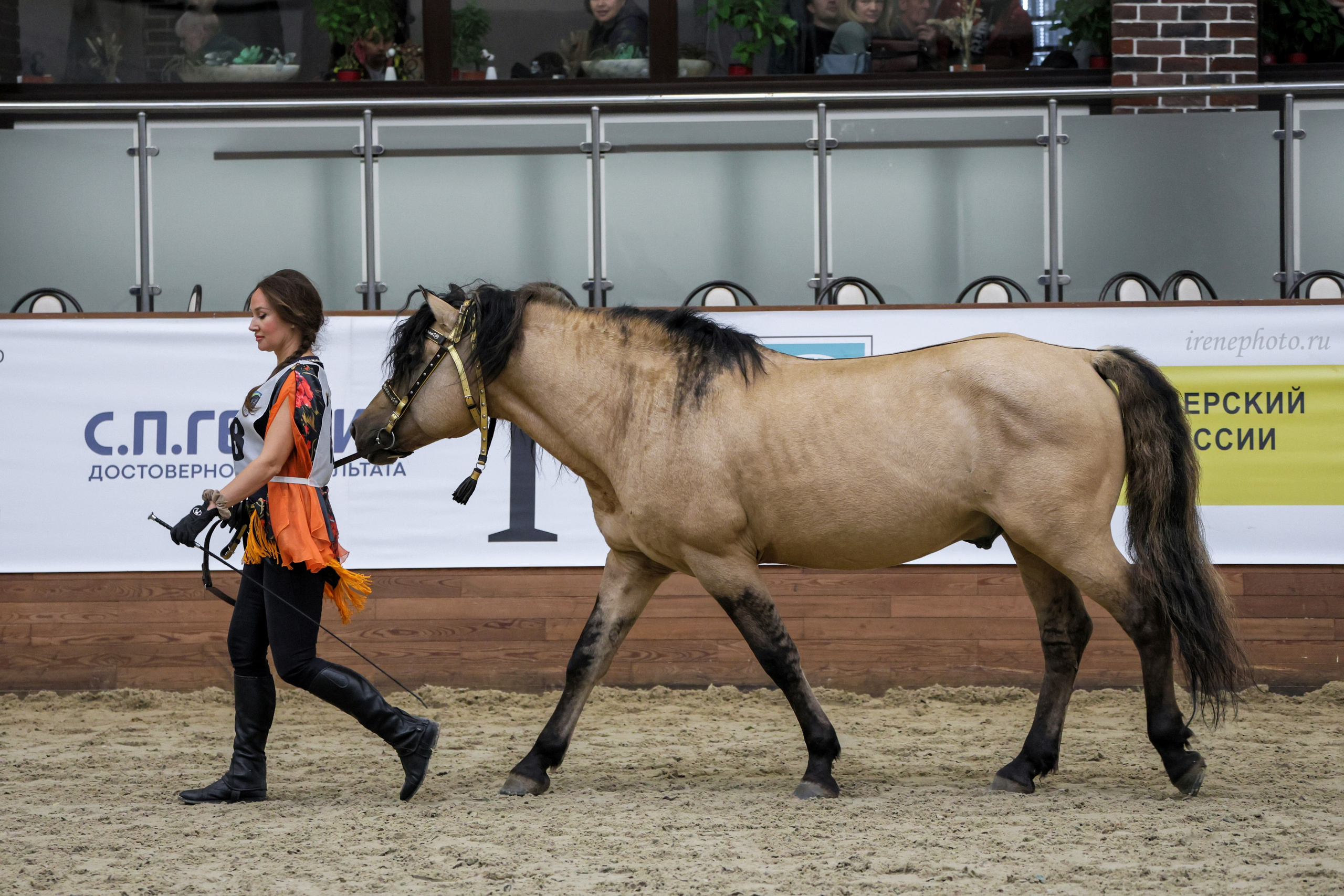Конная Россия 2024. Irenephoto.ru