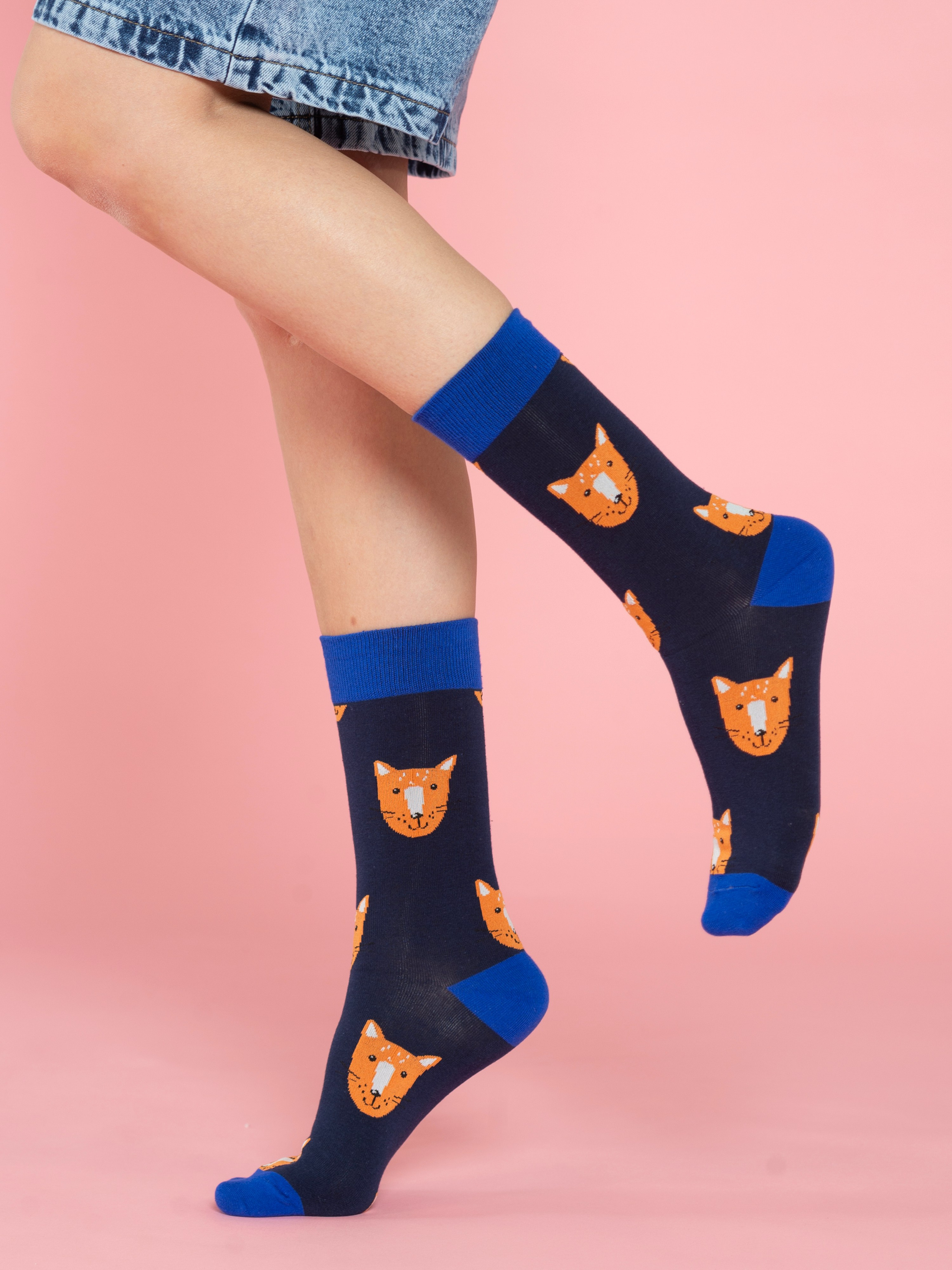 Каталог. Фотограф