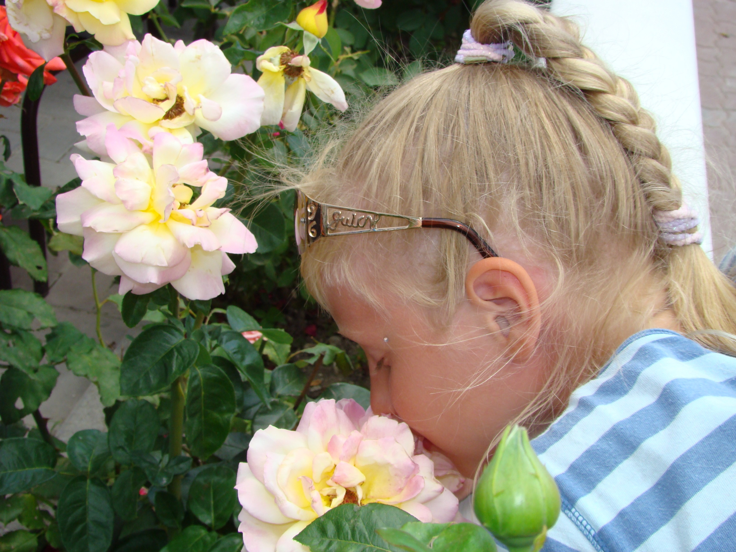 Кабардинка (фото Зевиных) 25.06-24.07.2008. Семейный, Свадебный фотограф СПБ Питер— Романова Екатерина