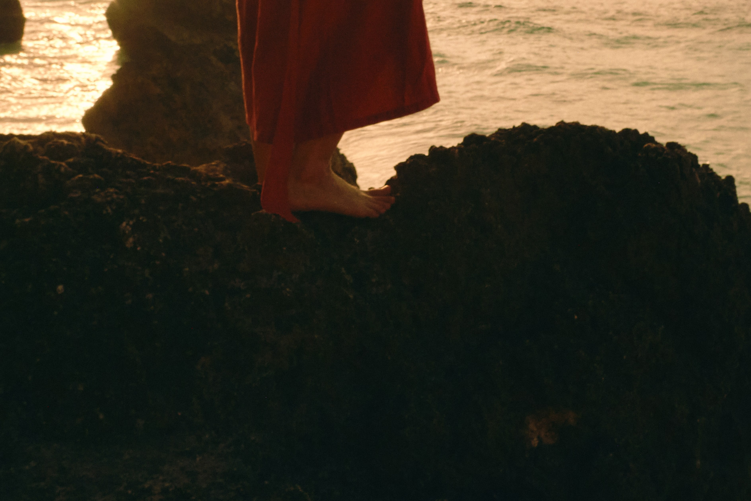 Виолетта Скрипка