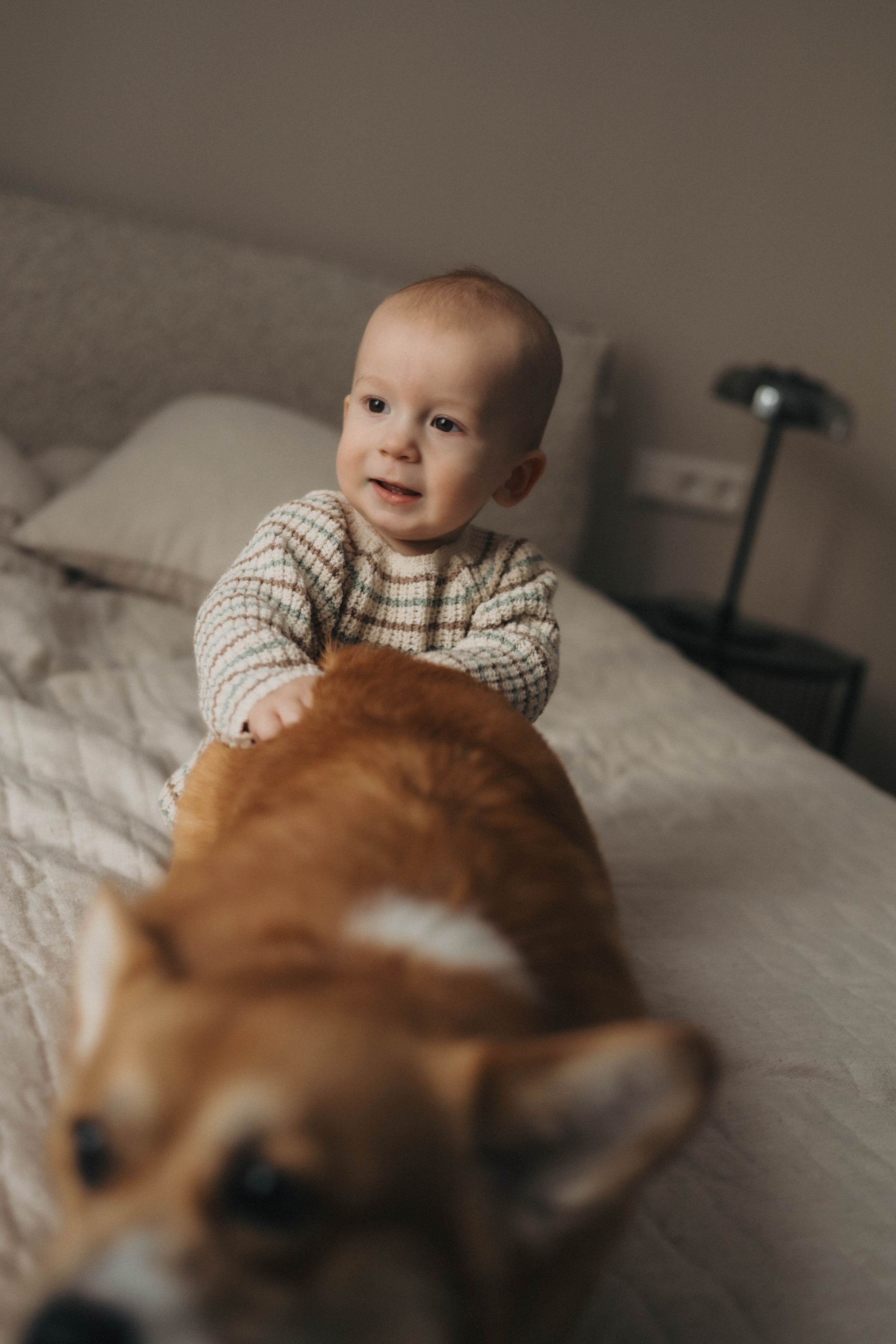 Валерия, Вова и Персик. Семейный фотограф в Москве Дарья Верещагина