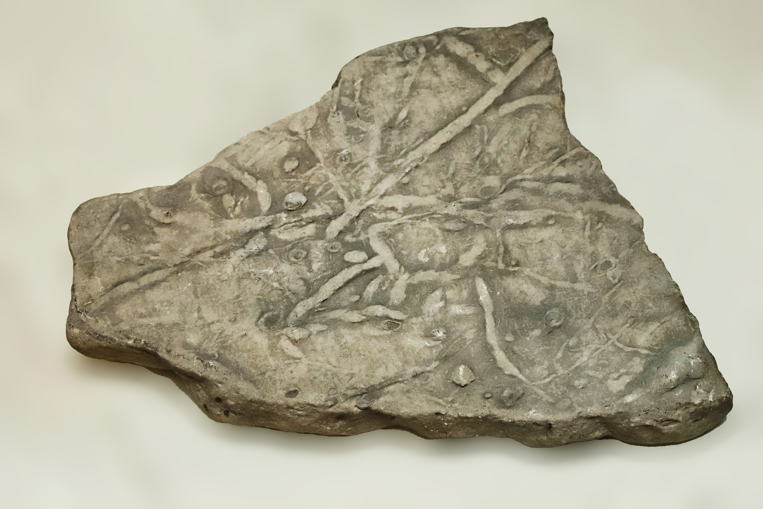 Каменная летопись. Фотограф Юлия Маринина