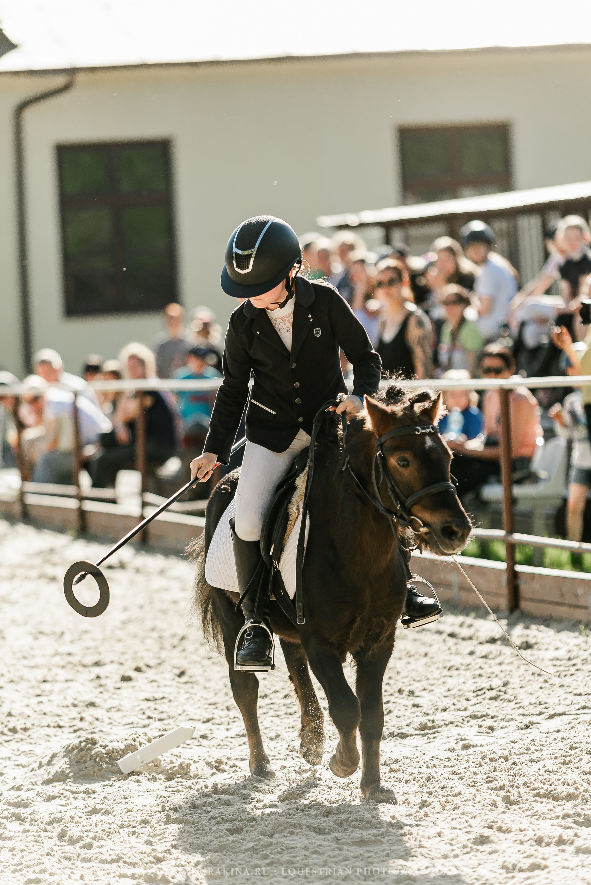 #ПОНИФОРУМ 2024. Конный фотограф Куракина Дарья • Фотосессии с лошадьми