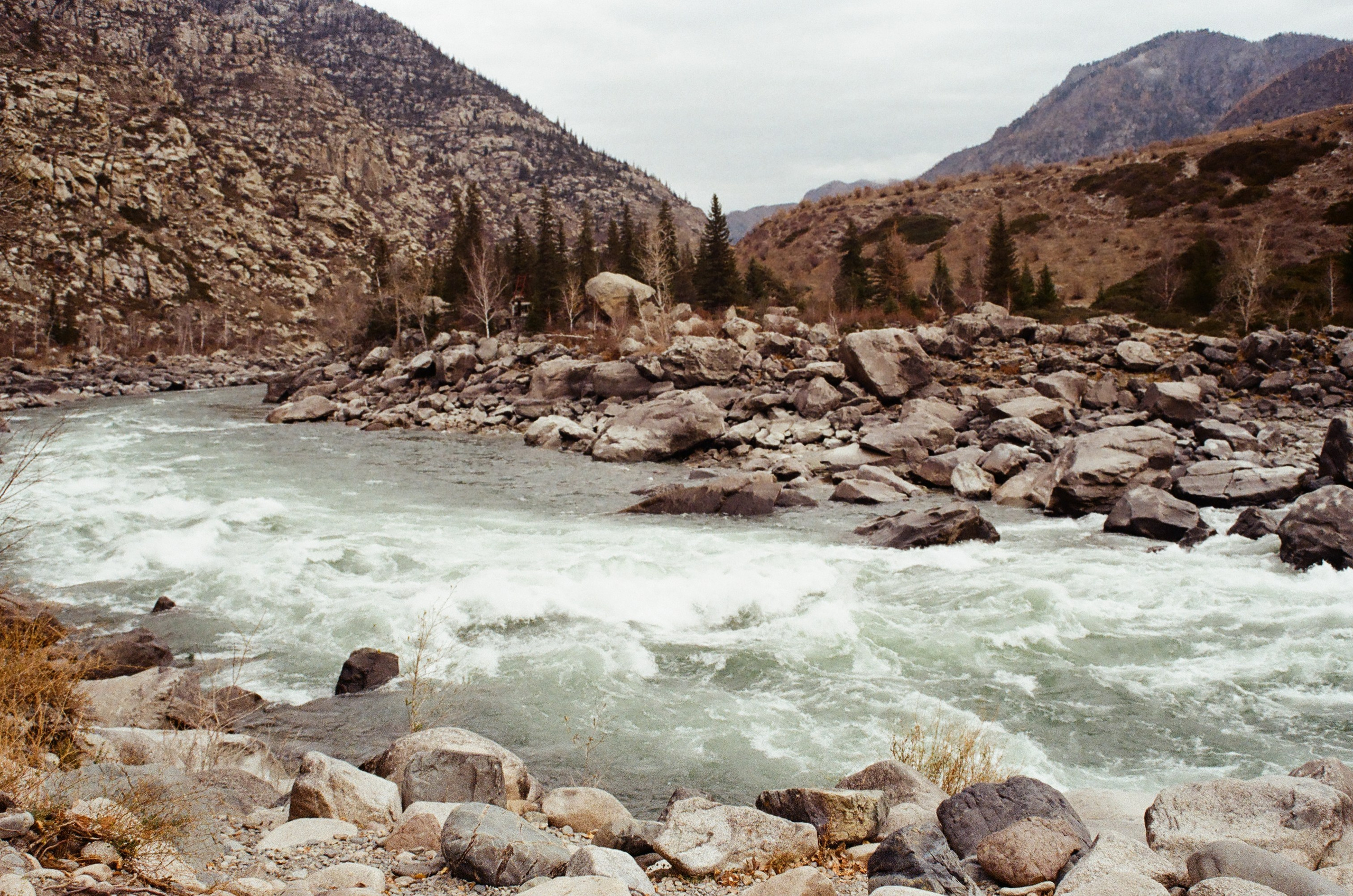 Плёнка. Свадебный и портретный фотограф в Тюмени Женя Черемнова