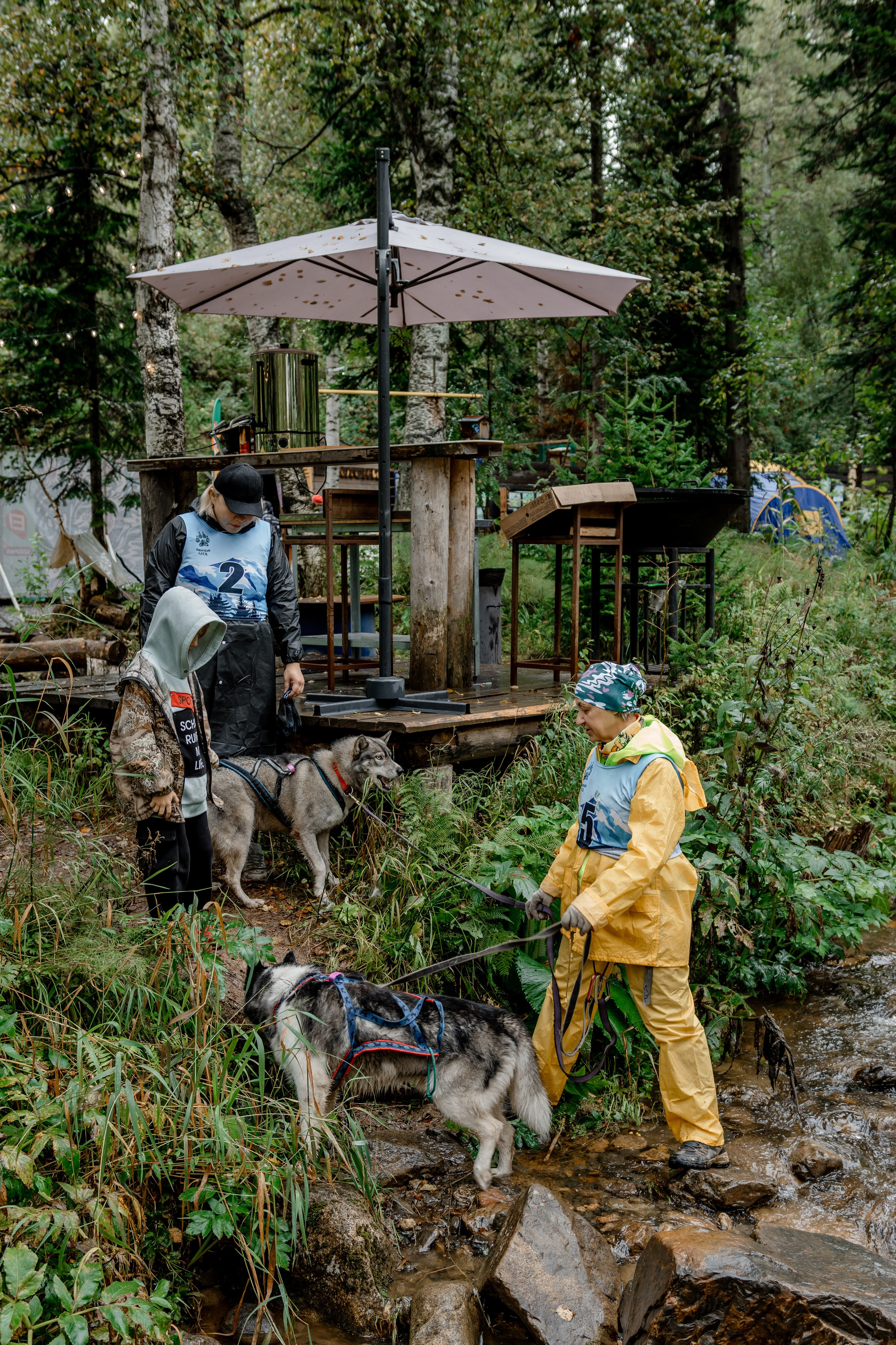 Дог-треккинг