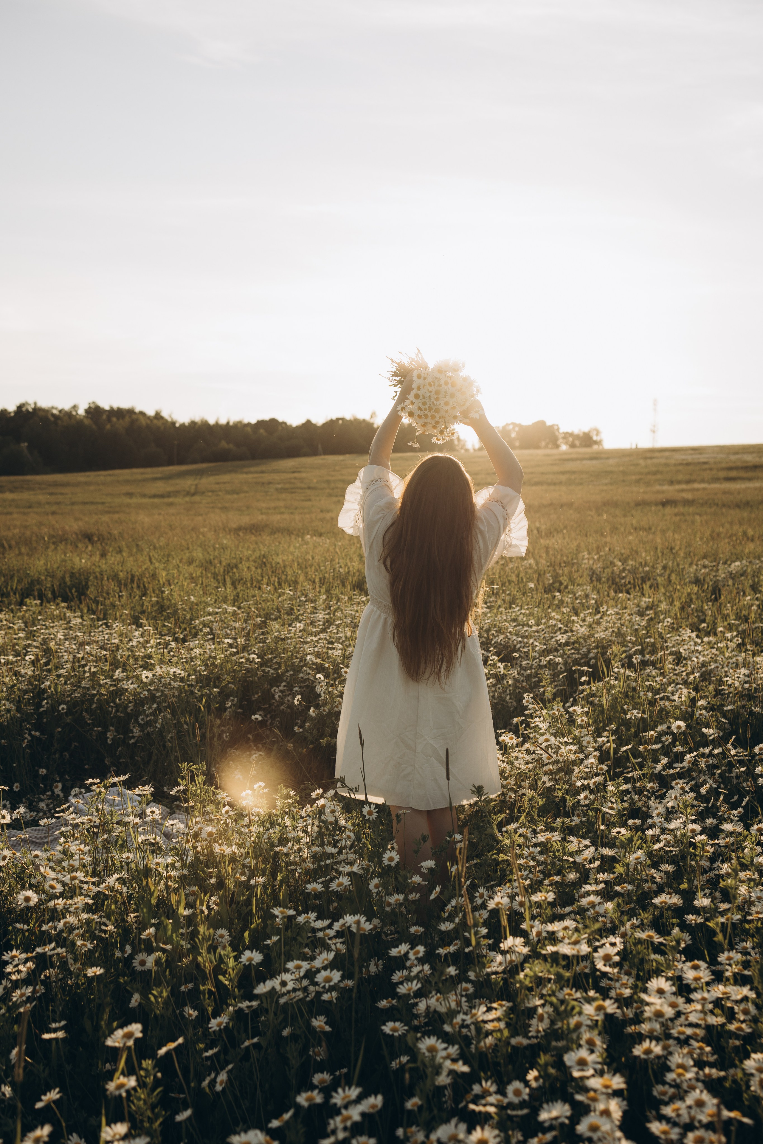 Маша и ромашки. Семейный фотограф в Москве Виктория Ястребинская