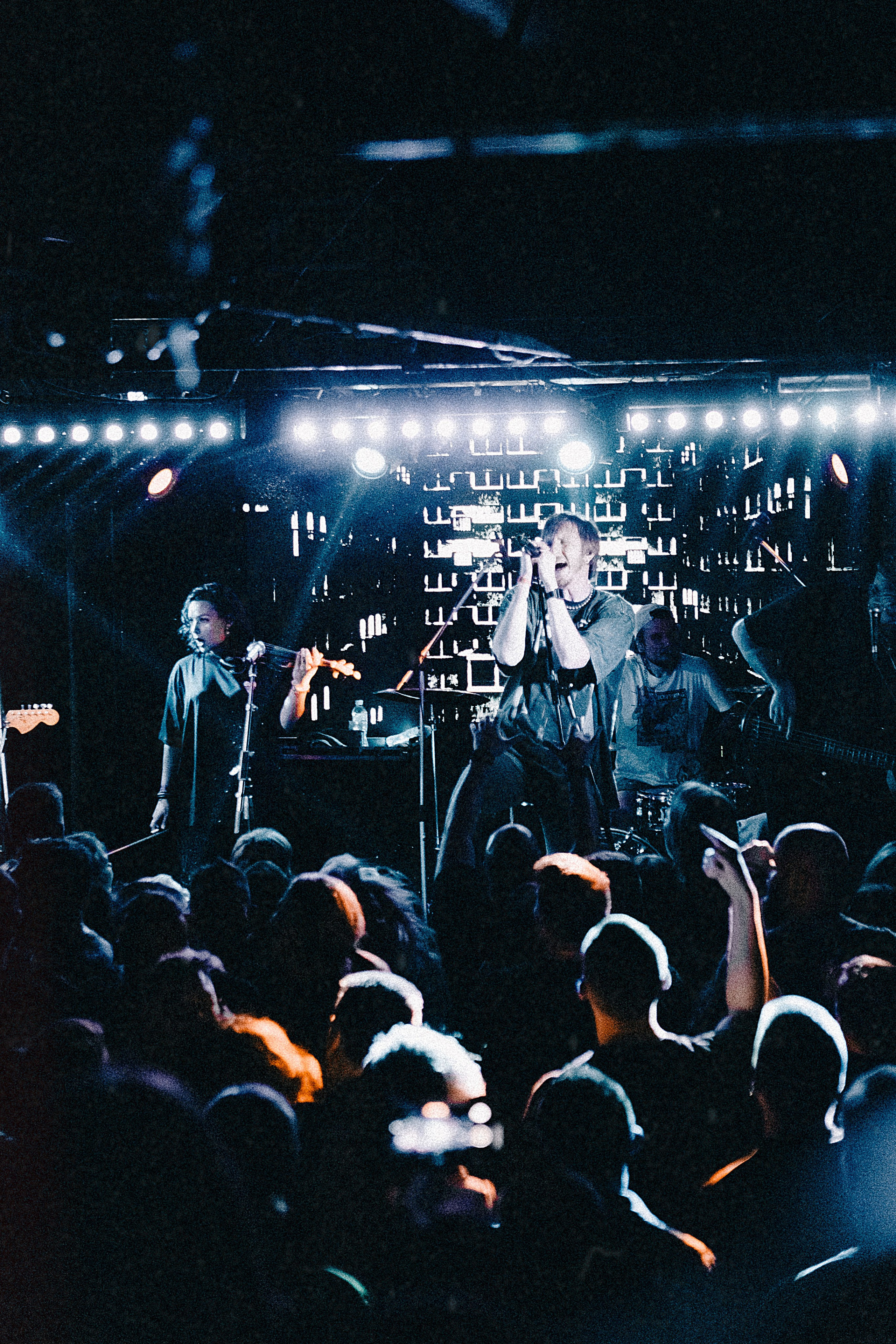 ОПЕРАЦИЯ ПЛАСТИЛИН. Анастасия Попова — свадебный и репортажный фотограф | Воронеж, Павловск