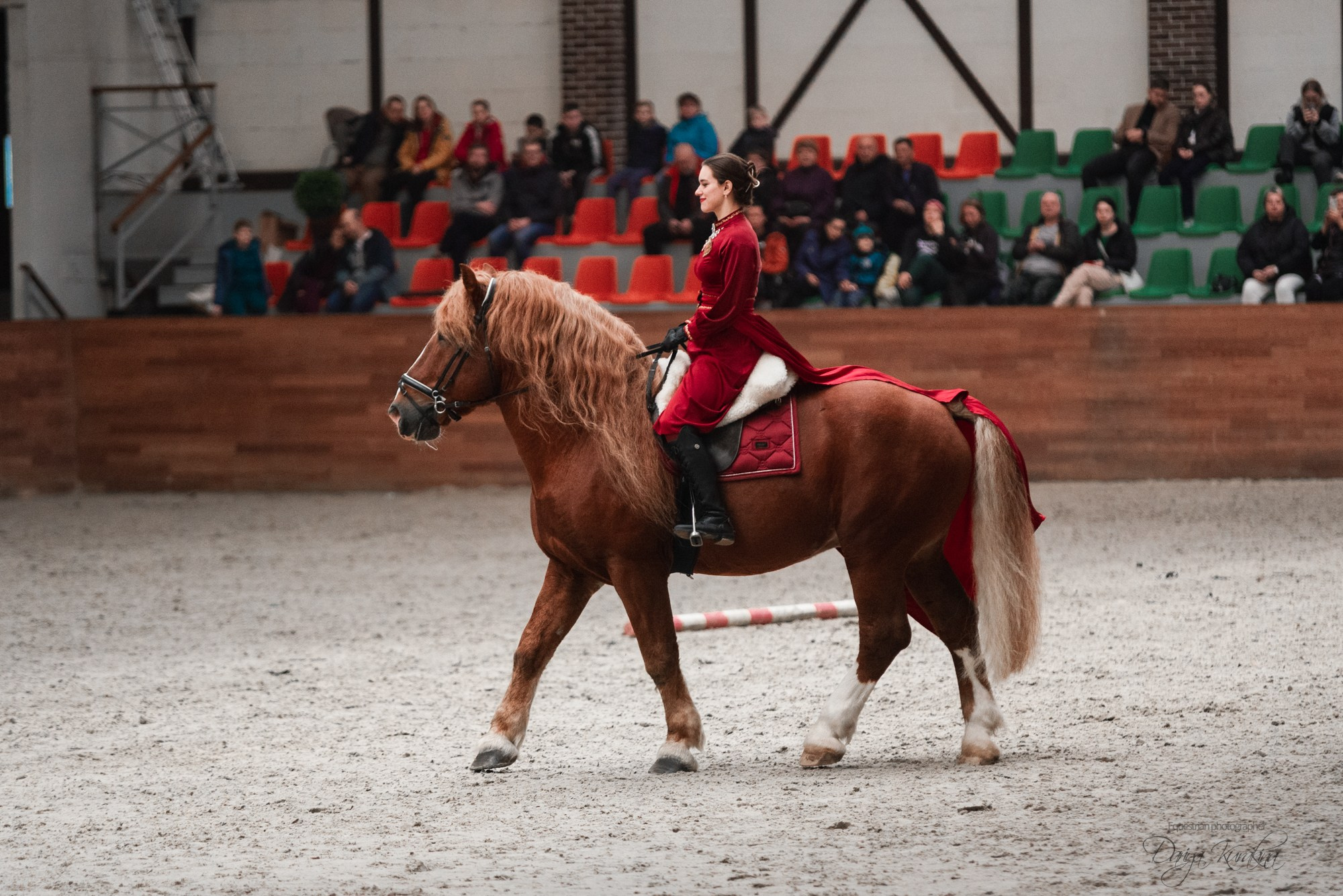 8-я международная выставка Конная Россия. Конный фотограф Куракина Дарья • Фотосессии с лошадьми