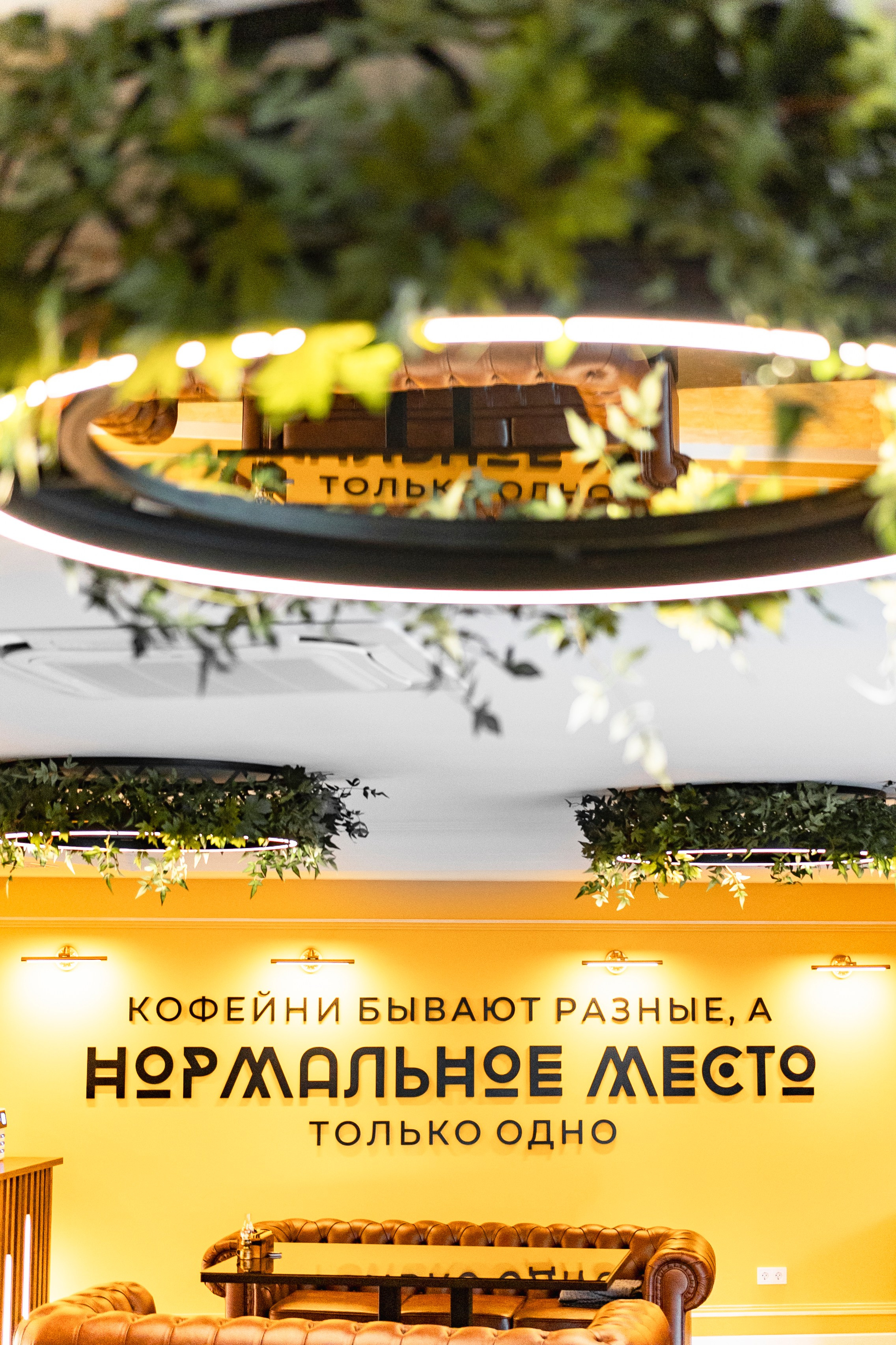 Интерьерная съемка заведения «Нормальное место». Фотограф Настя Конник | Пятигорск | Эльбрус | Домбай | Архыз