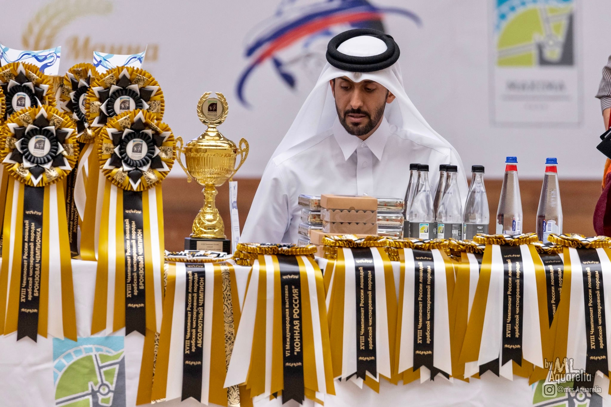 Конные выставки. Mrs.Aquarelia Конный фотограф Марианна Леонтьева