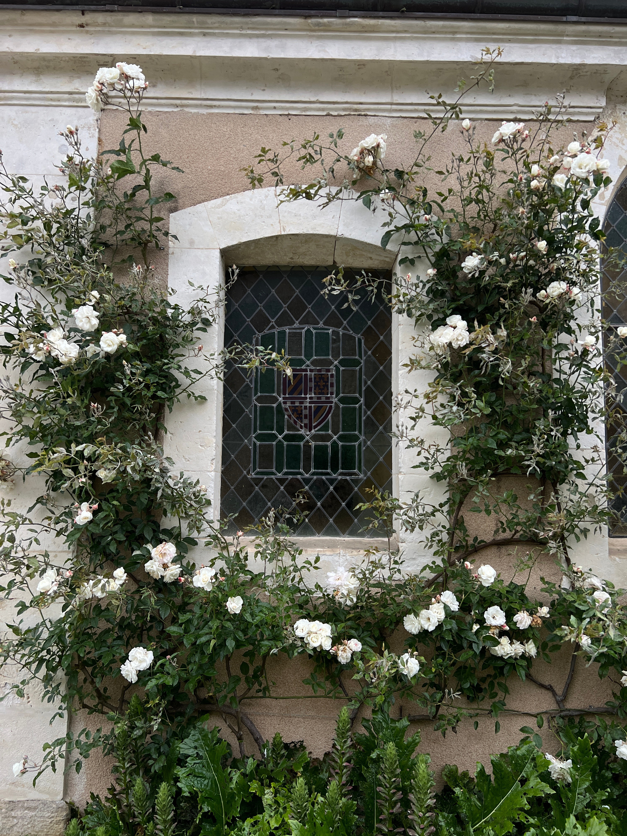 Wedding Content Creator 2026. Valeria Coconova Photographer Italy Como Milan