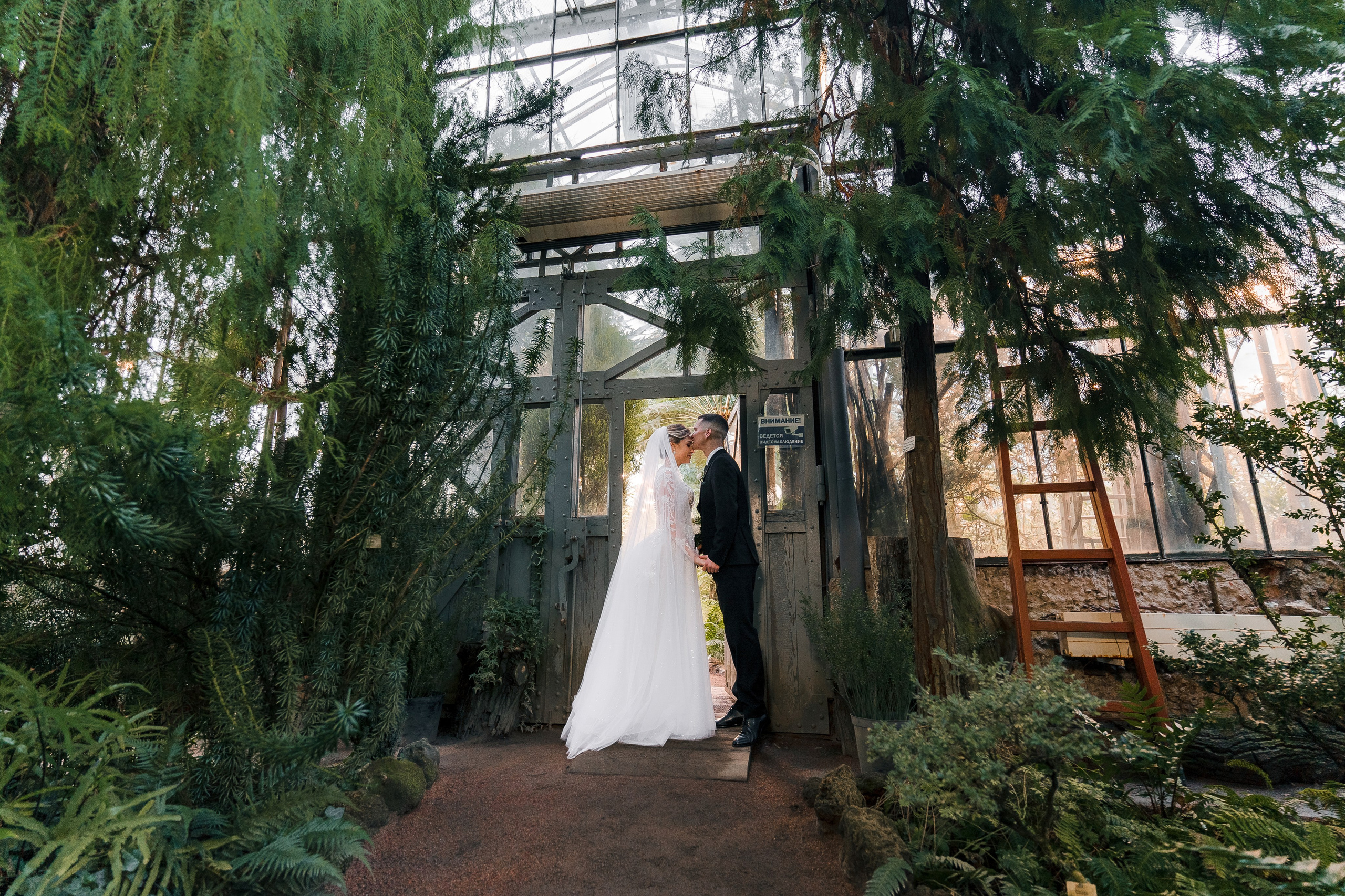 Евгений + Елена