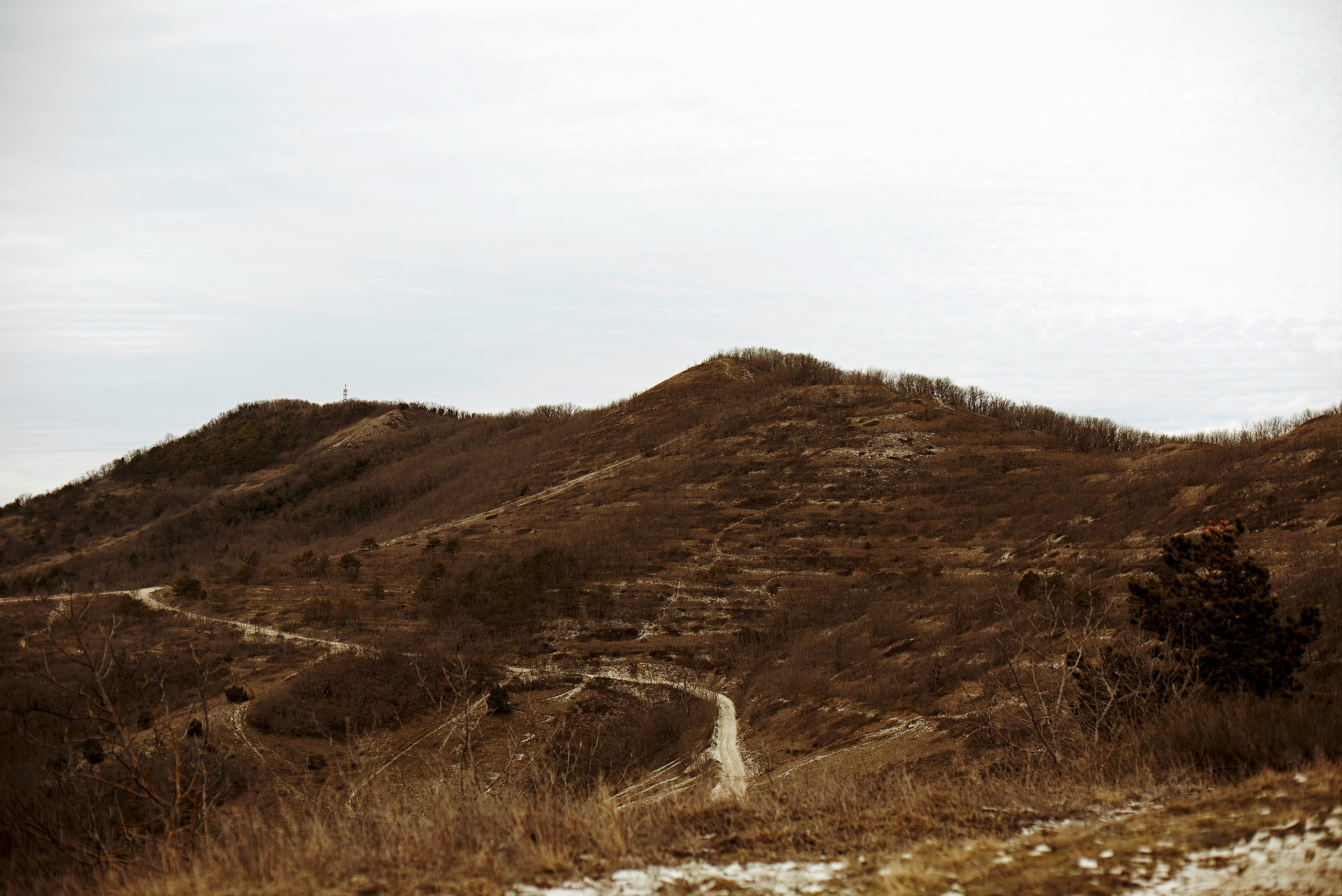 Дороги Ветра. Анастасия Либерти