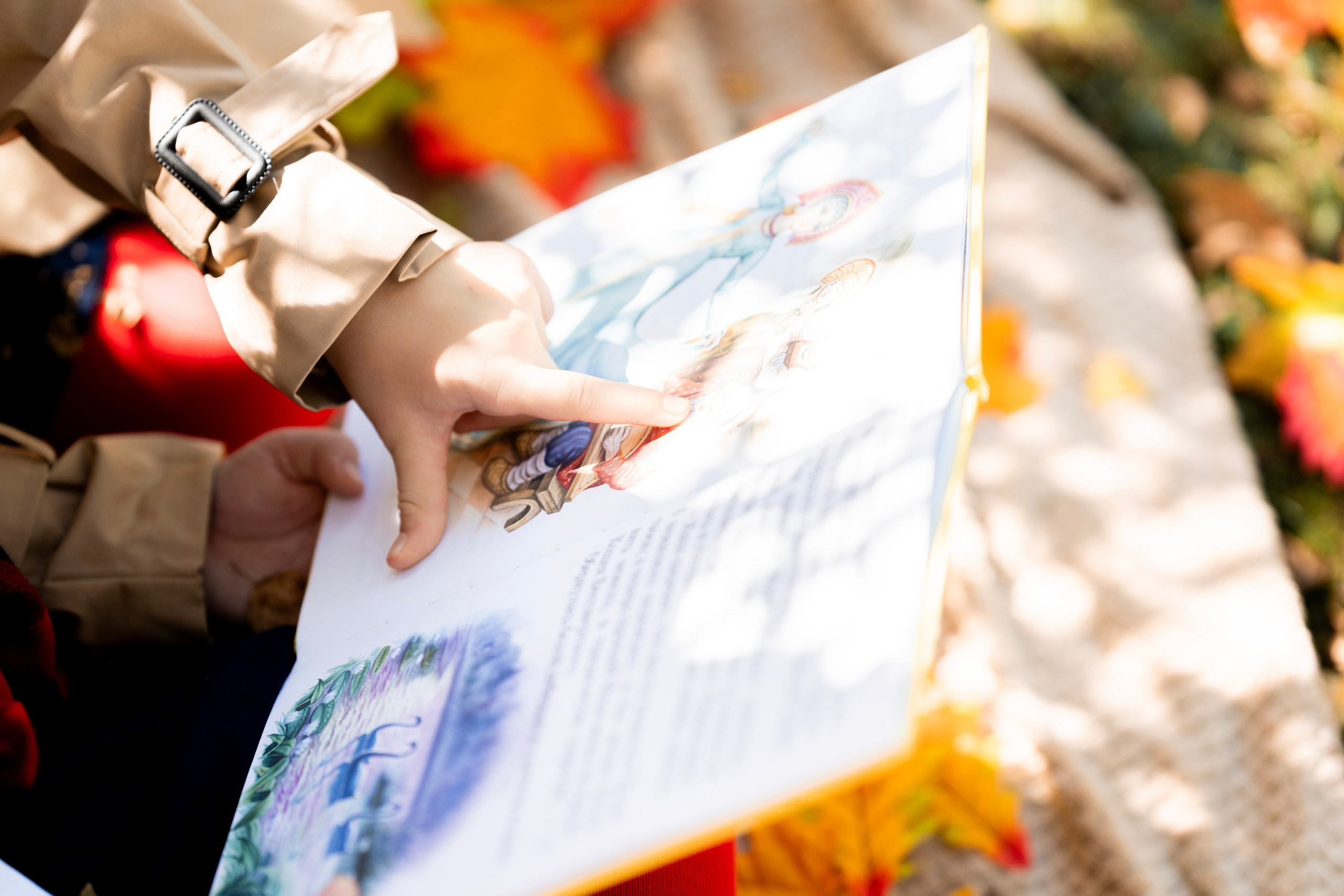 Осень 2. Фотограф Юлия Попова