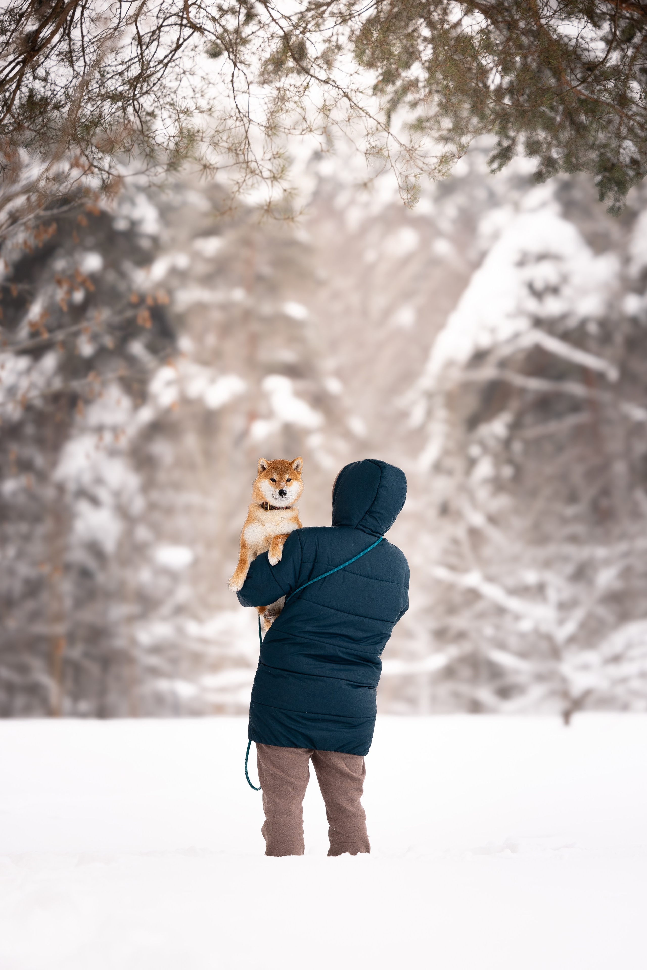 Юми, Серж и Тоши. Фотограф и видеограф анималист Аганина Дарья