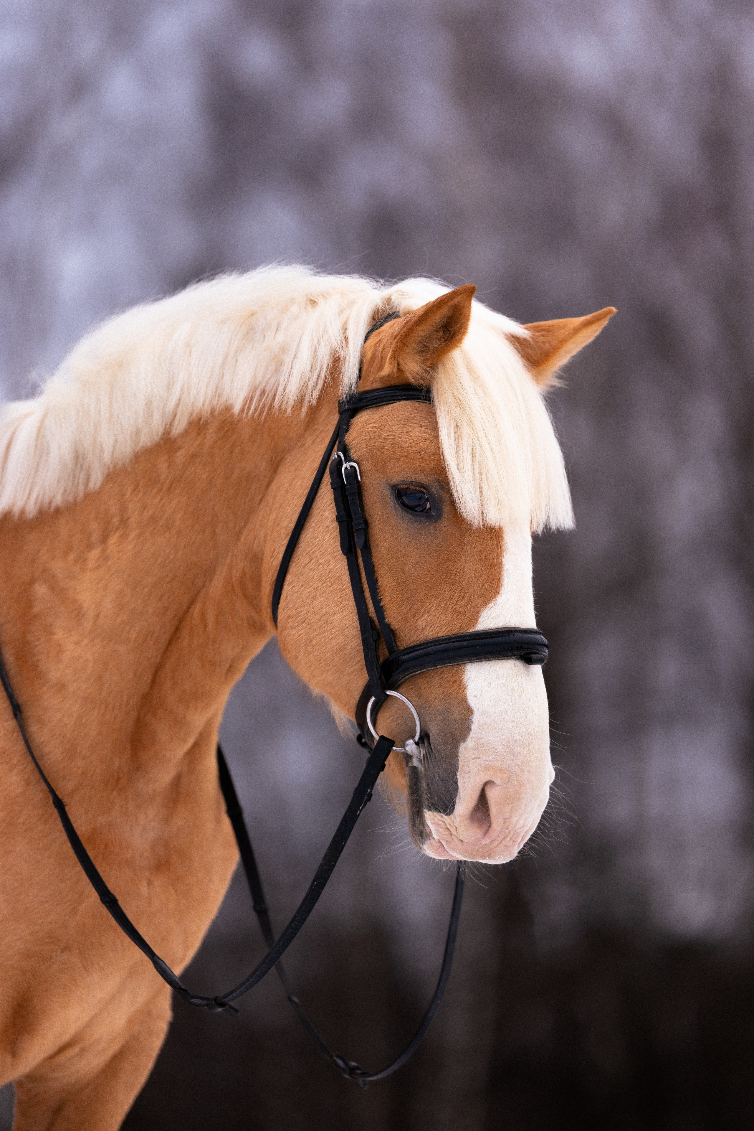 Бейкер. Фотограф и видеограф анималист Аганина Дарья