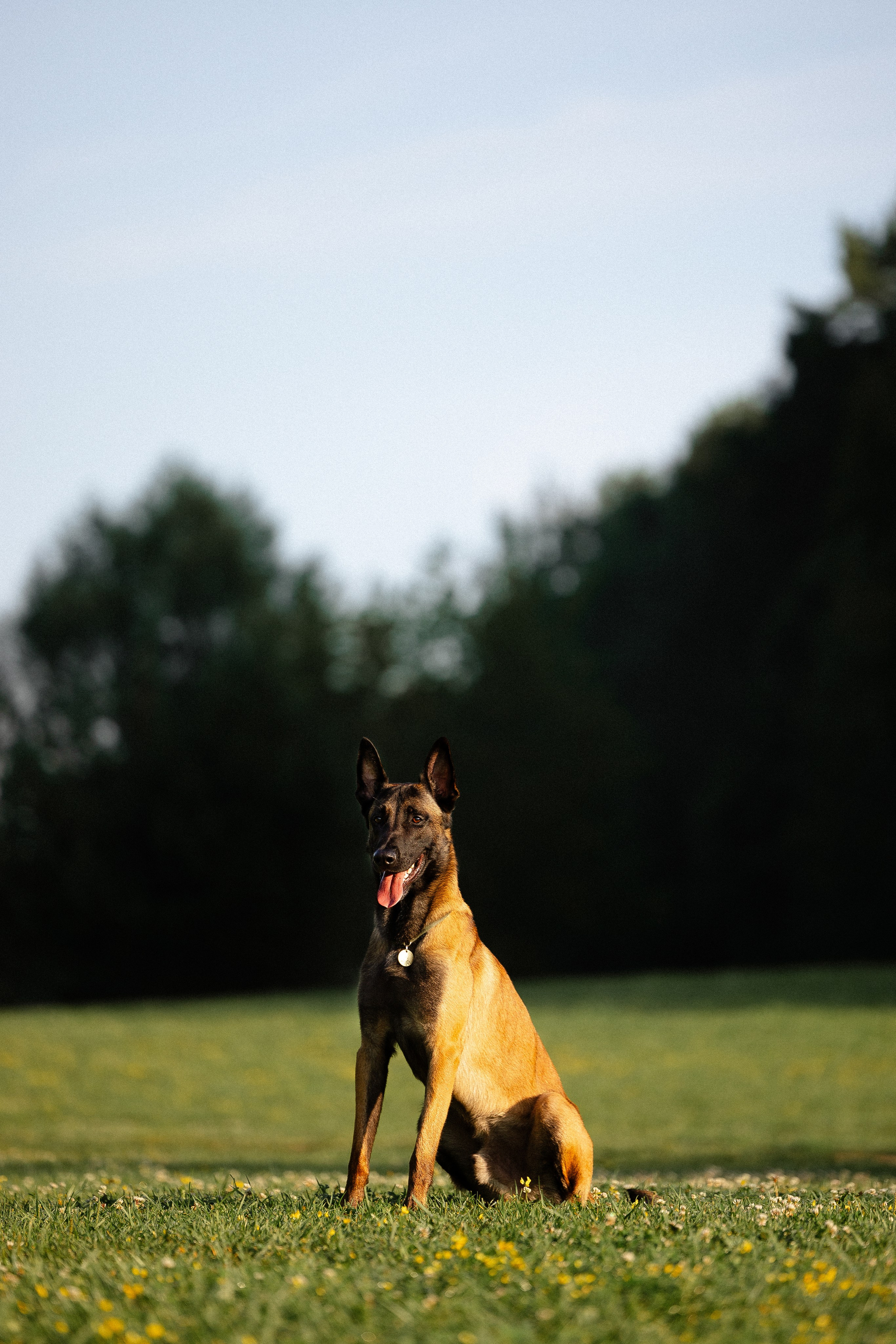Галина и Кодекс. Фотограф и видеограф анималист Аганина Дарья