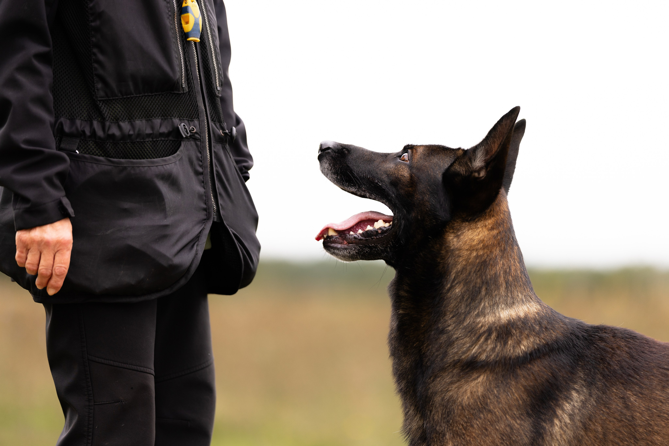 Макс. Фотограф и видеограф анималист Аганина Дарья