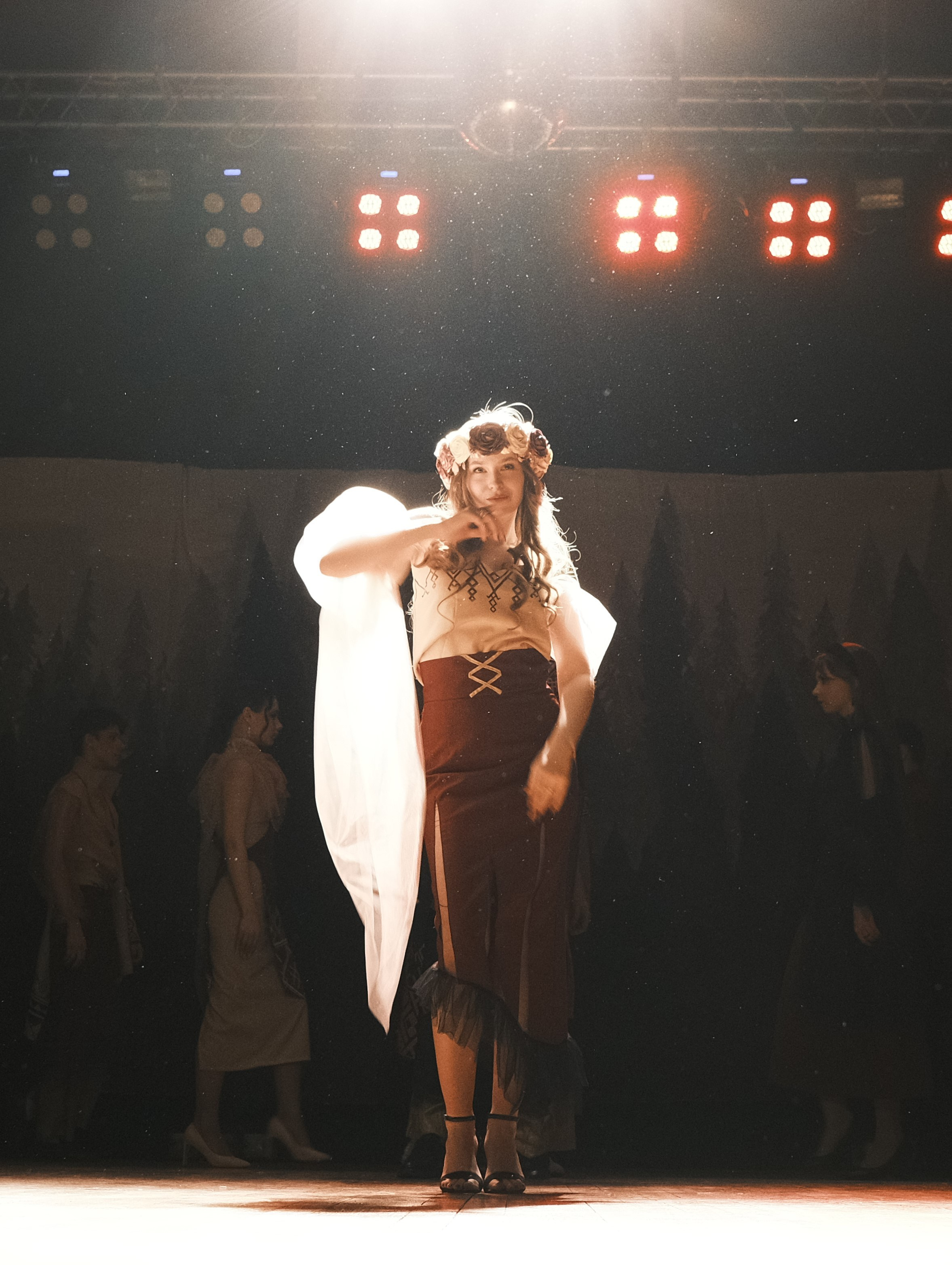 Концерты. NVSL STD