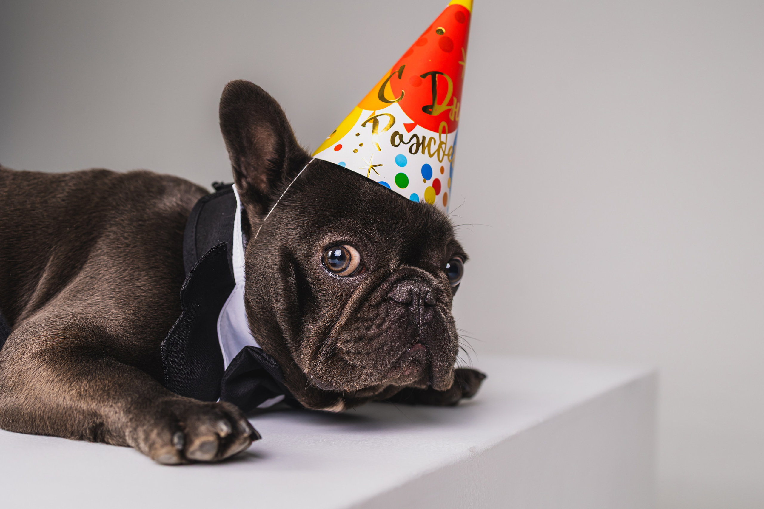 Кристина и Счастье